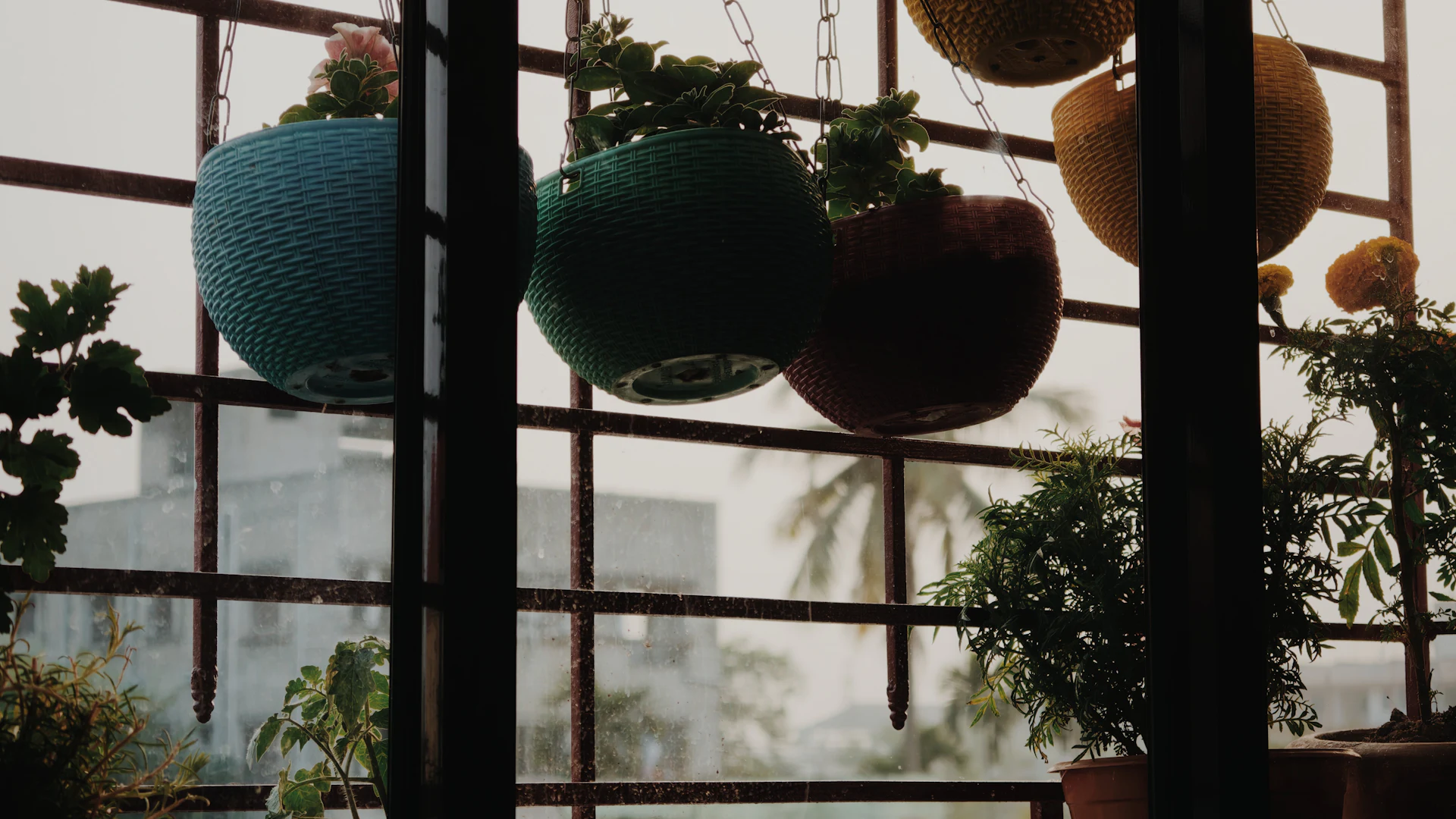 Balcony with colourful hanging planters