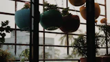 Hanging planters on a balcony