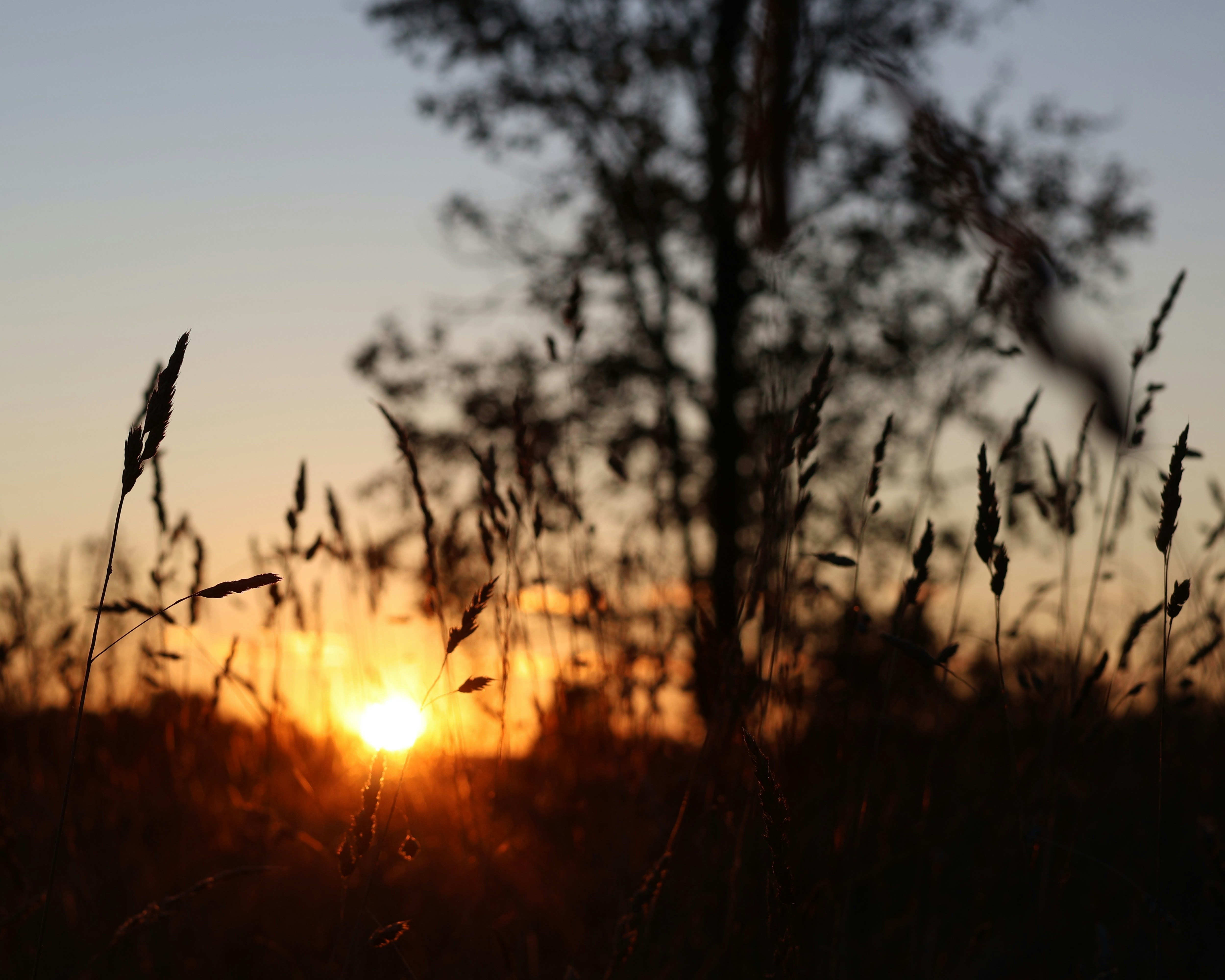 Photo by aikaharmony