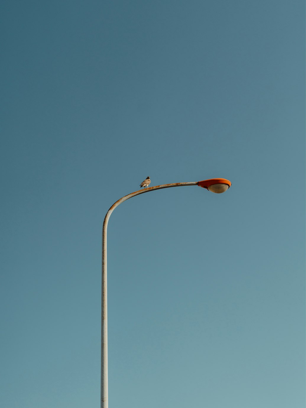 The Death of Risk in Gaming