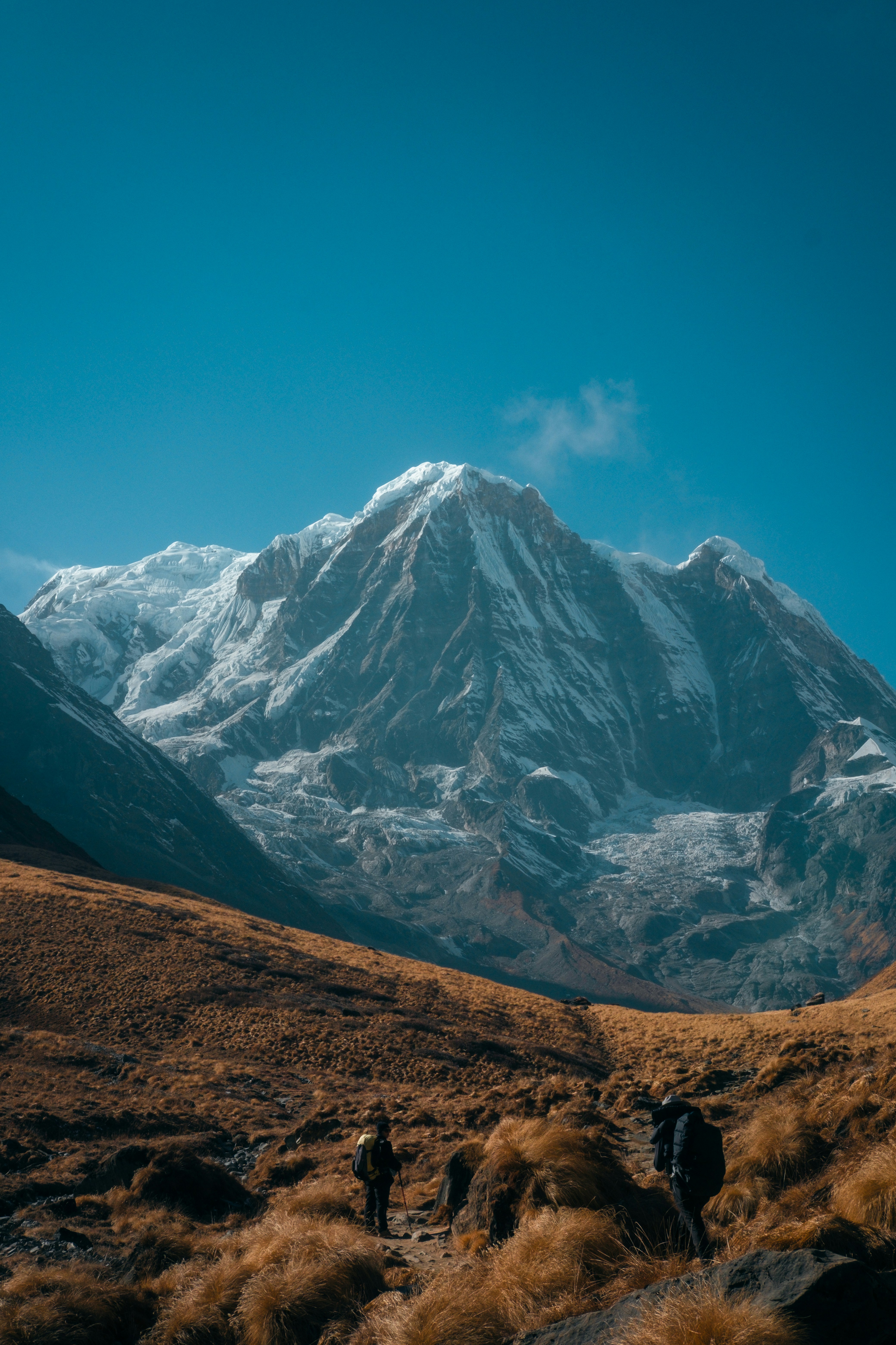 Hikers ascend a mountain path with snowy peaks.