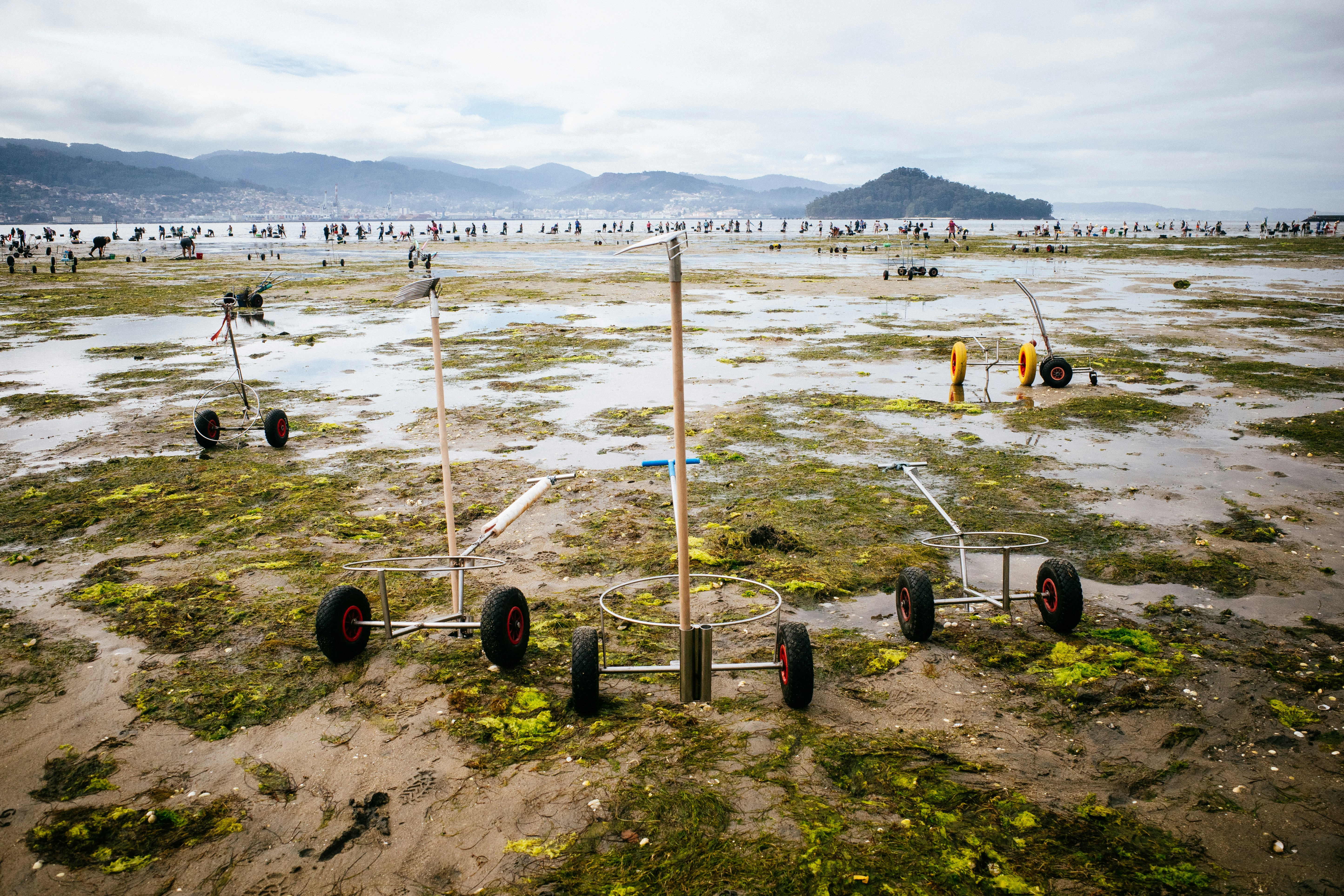 Carts on a muddy, seaweed-covered shore with distant hills.