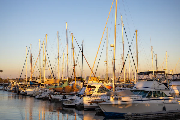 Marine Trade Insurance