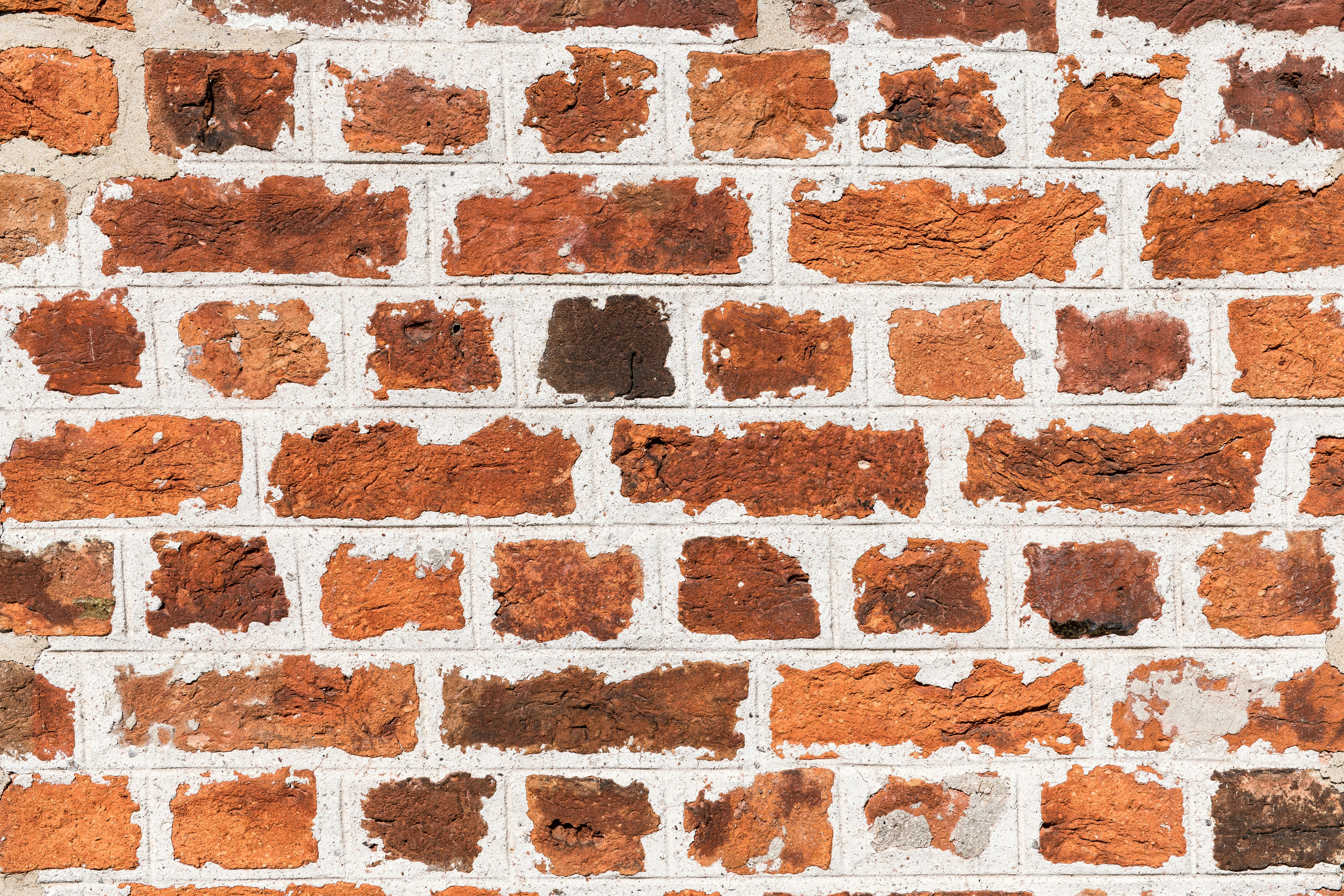 Photo by hamburgmeinefreundin