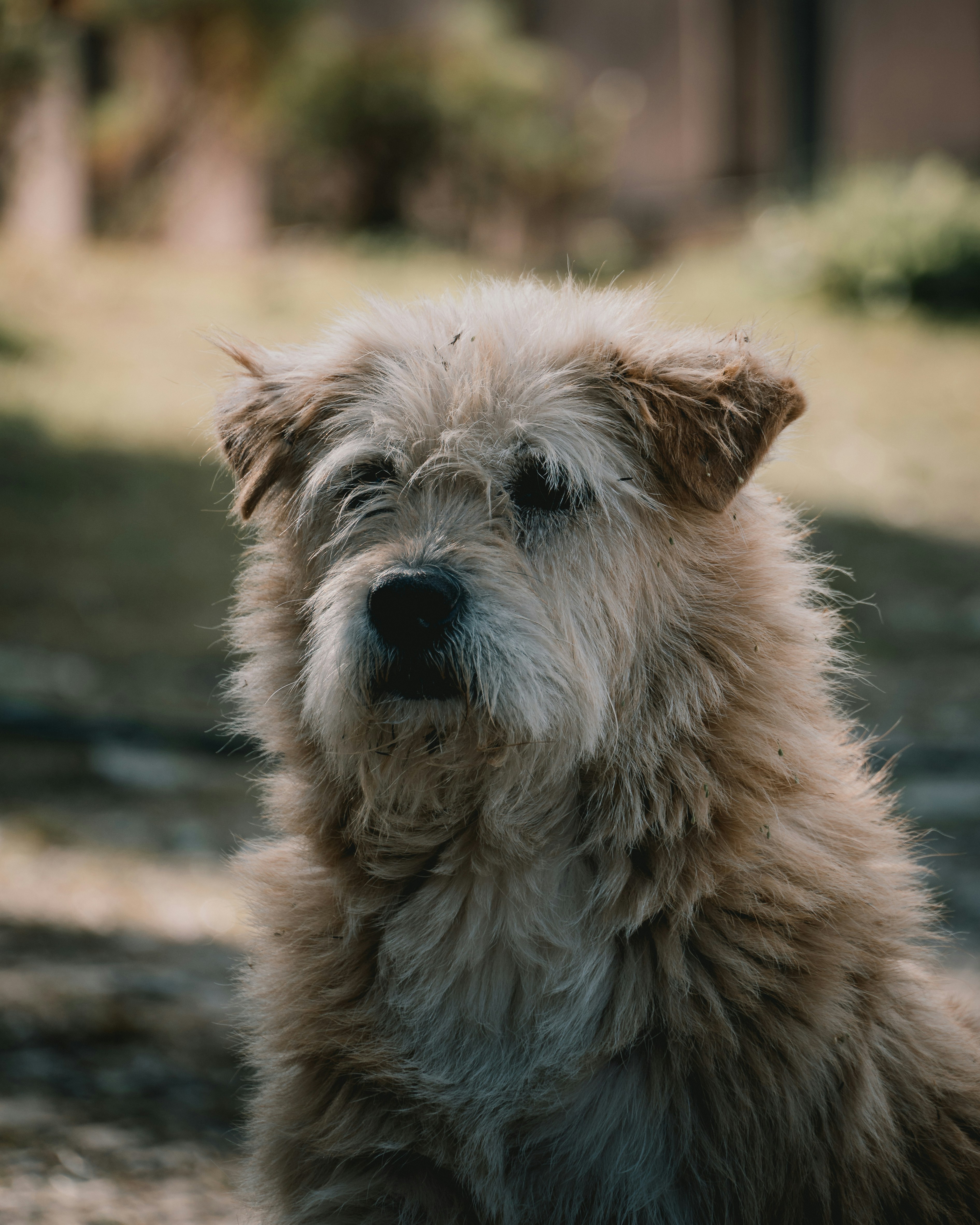 Photo by harshacrossindia