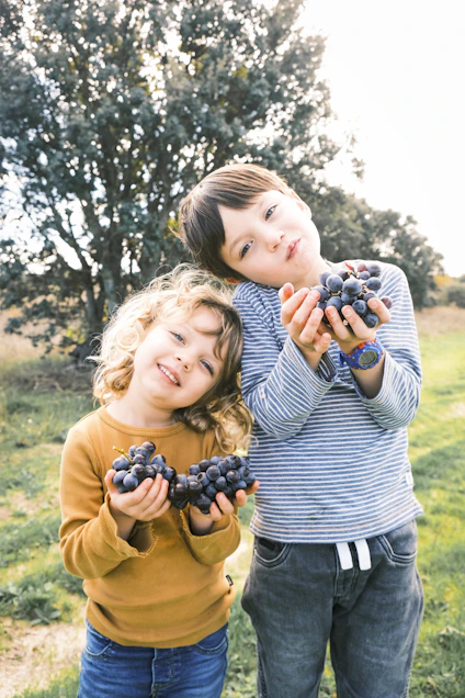 Two children holding bunches of fresh grapes