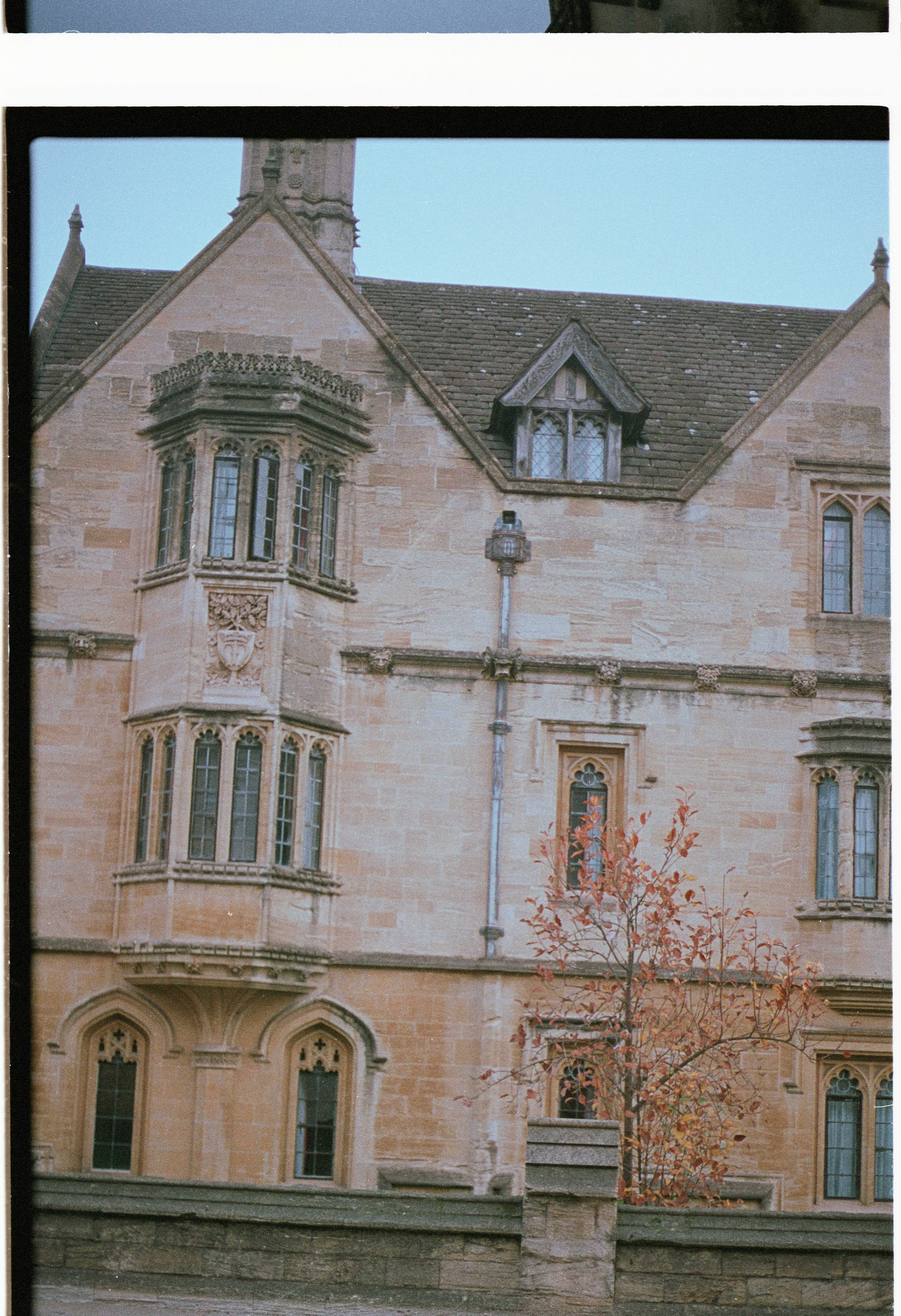 Photo by anniespratt