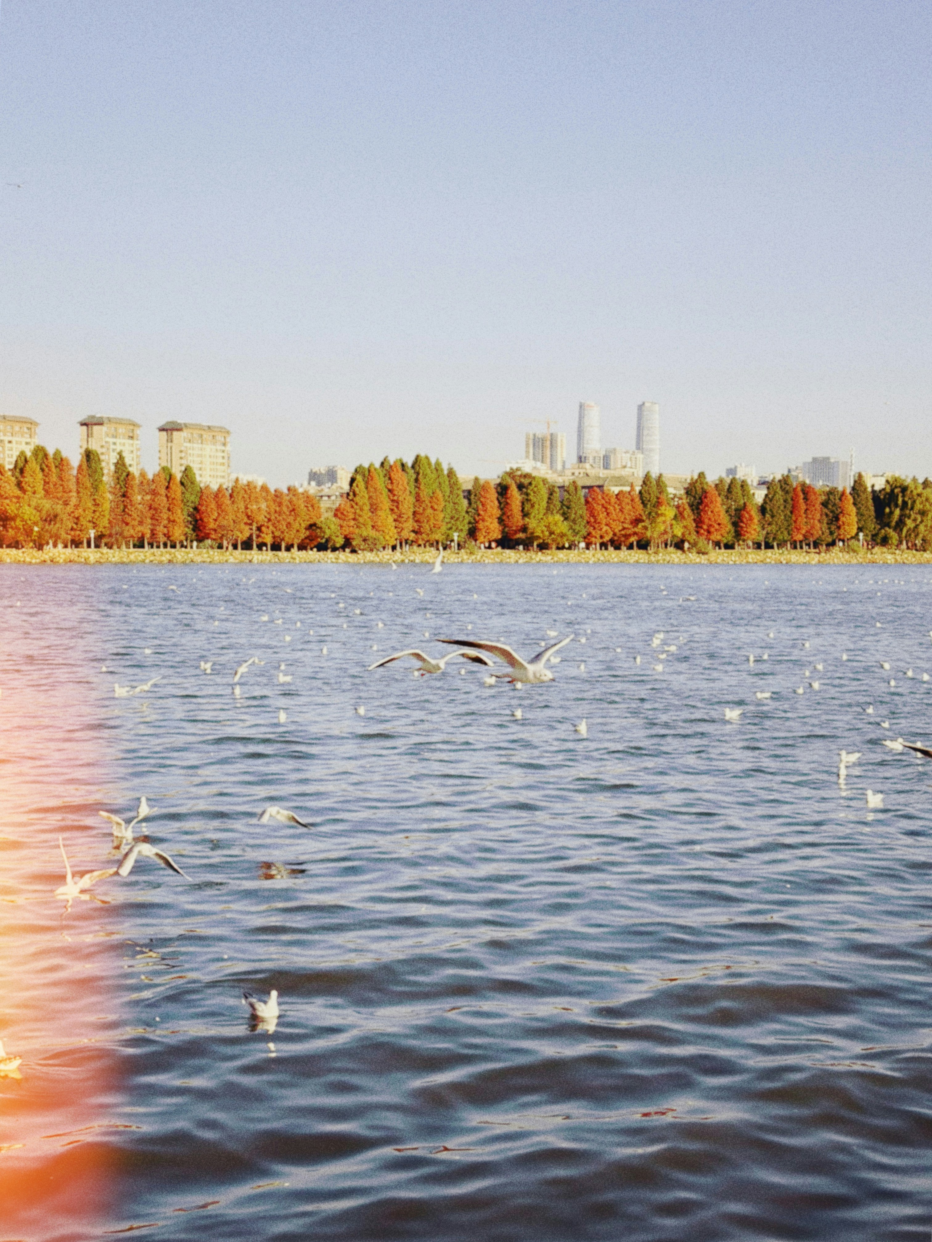 Photo by vincent_tint