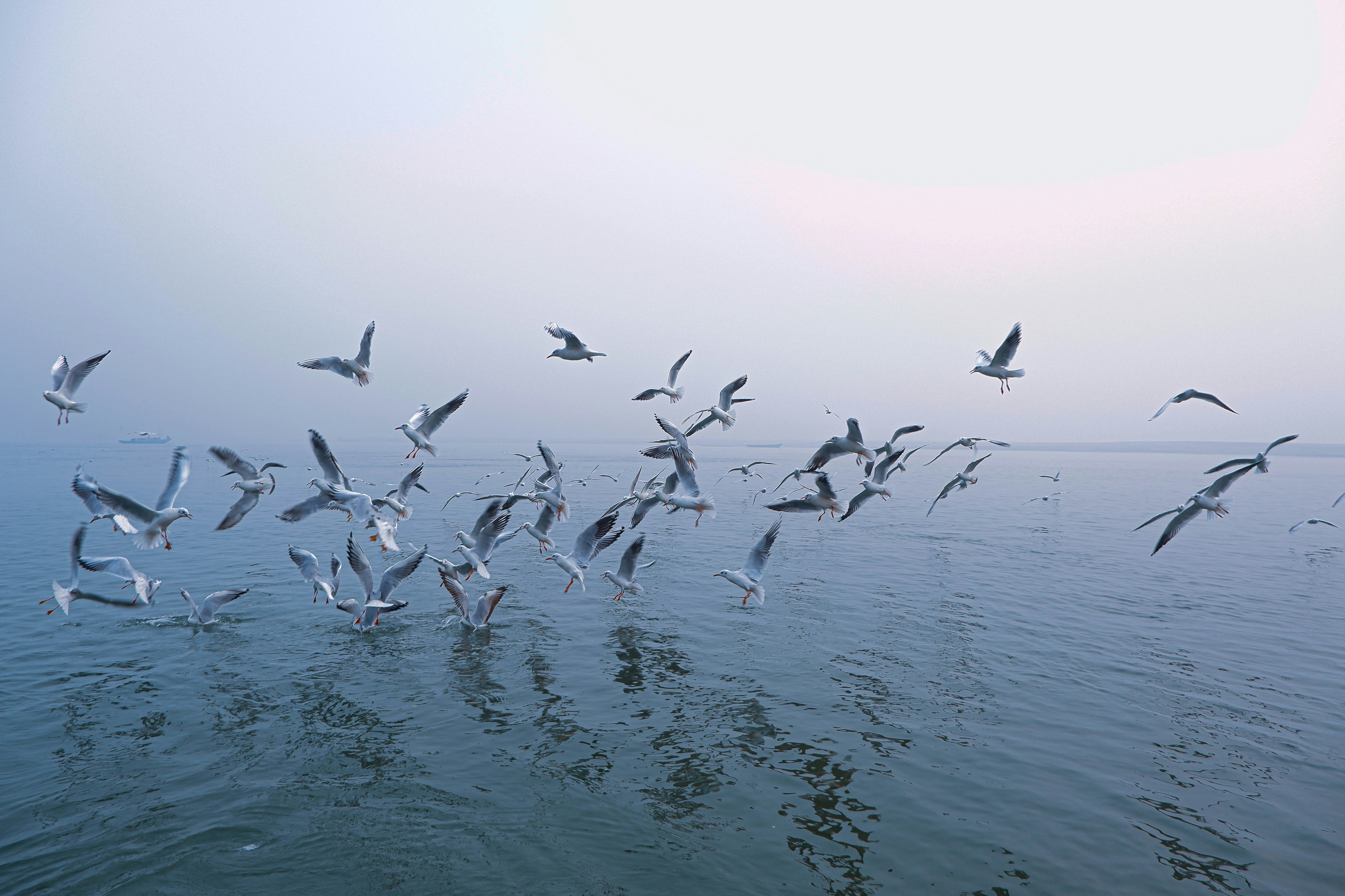 Photo by visuallyengaged