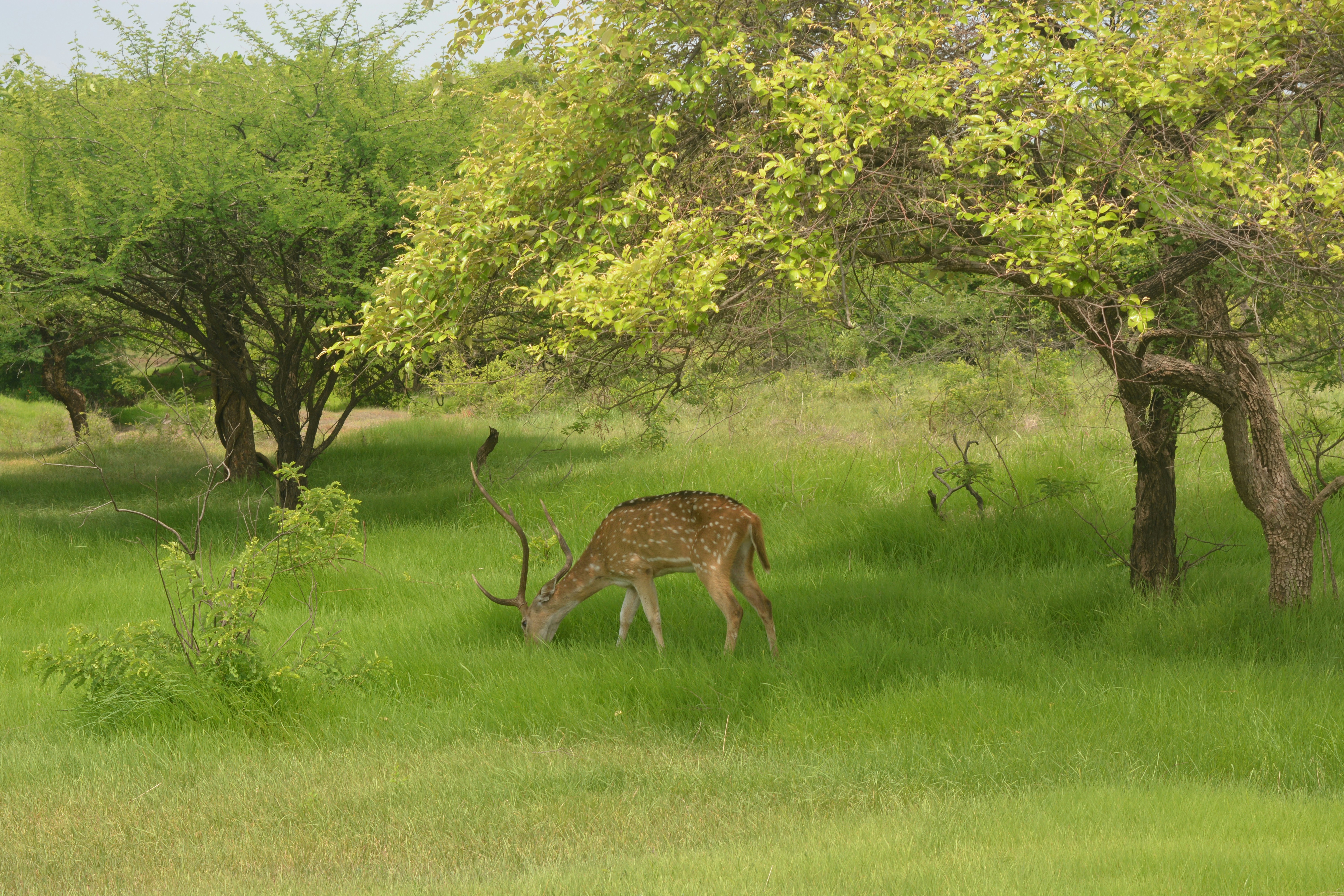 Photo by visuallyengaged