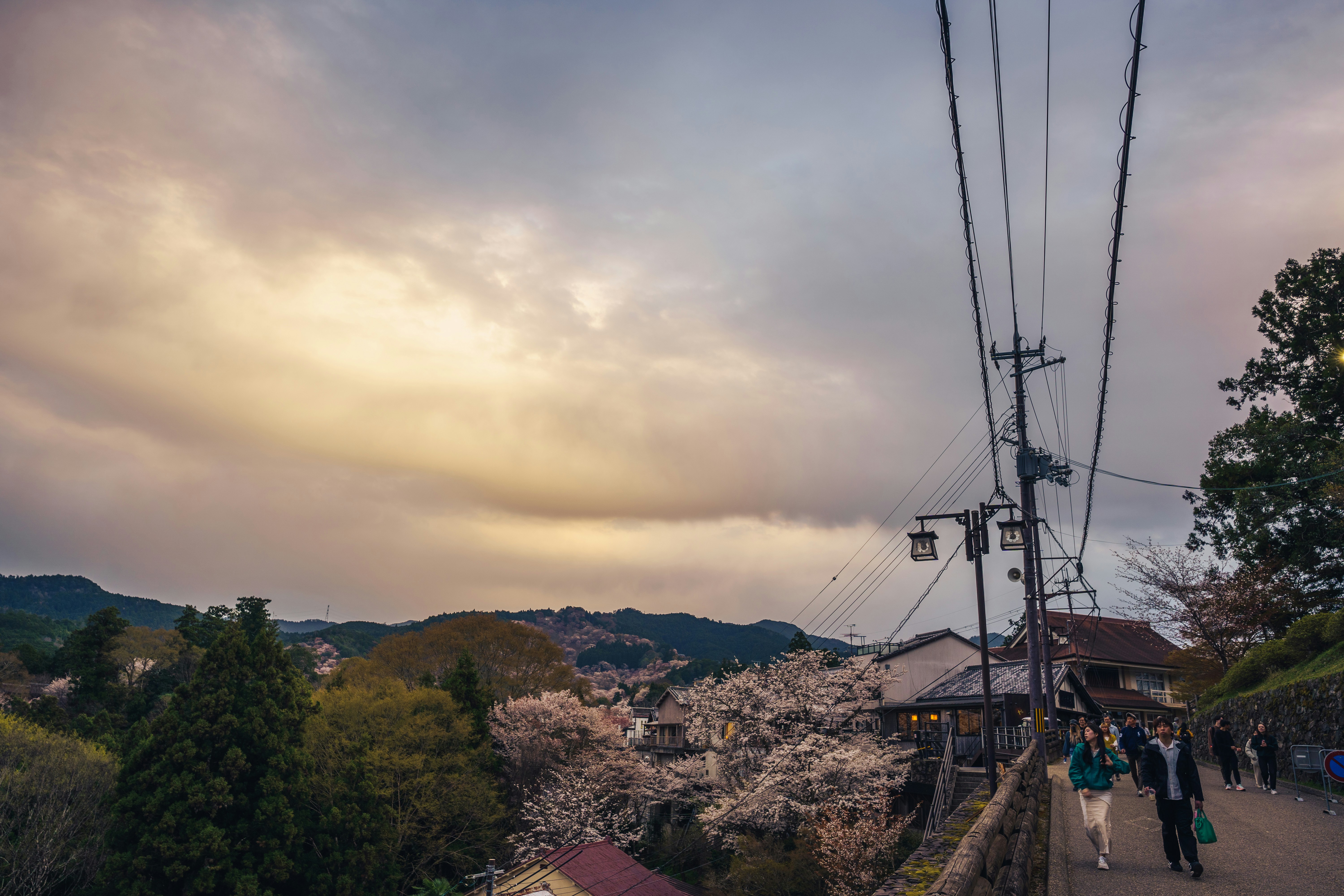 People walk along a path with cherry blossoms and mountains.