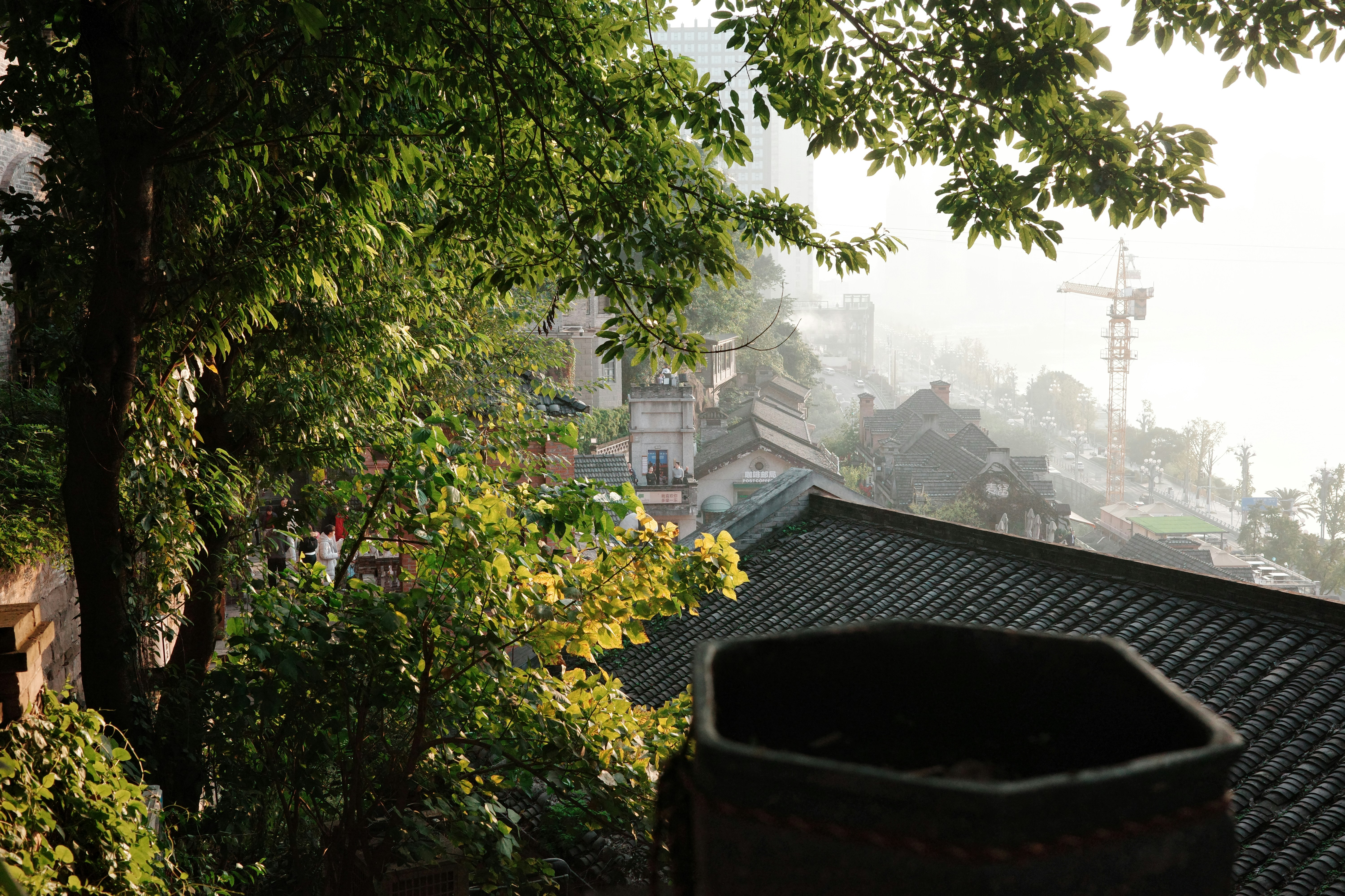 Nebliger Morgen über alten Tempeldächern und Bäumen