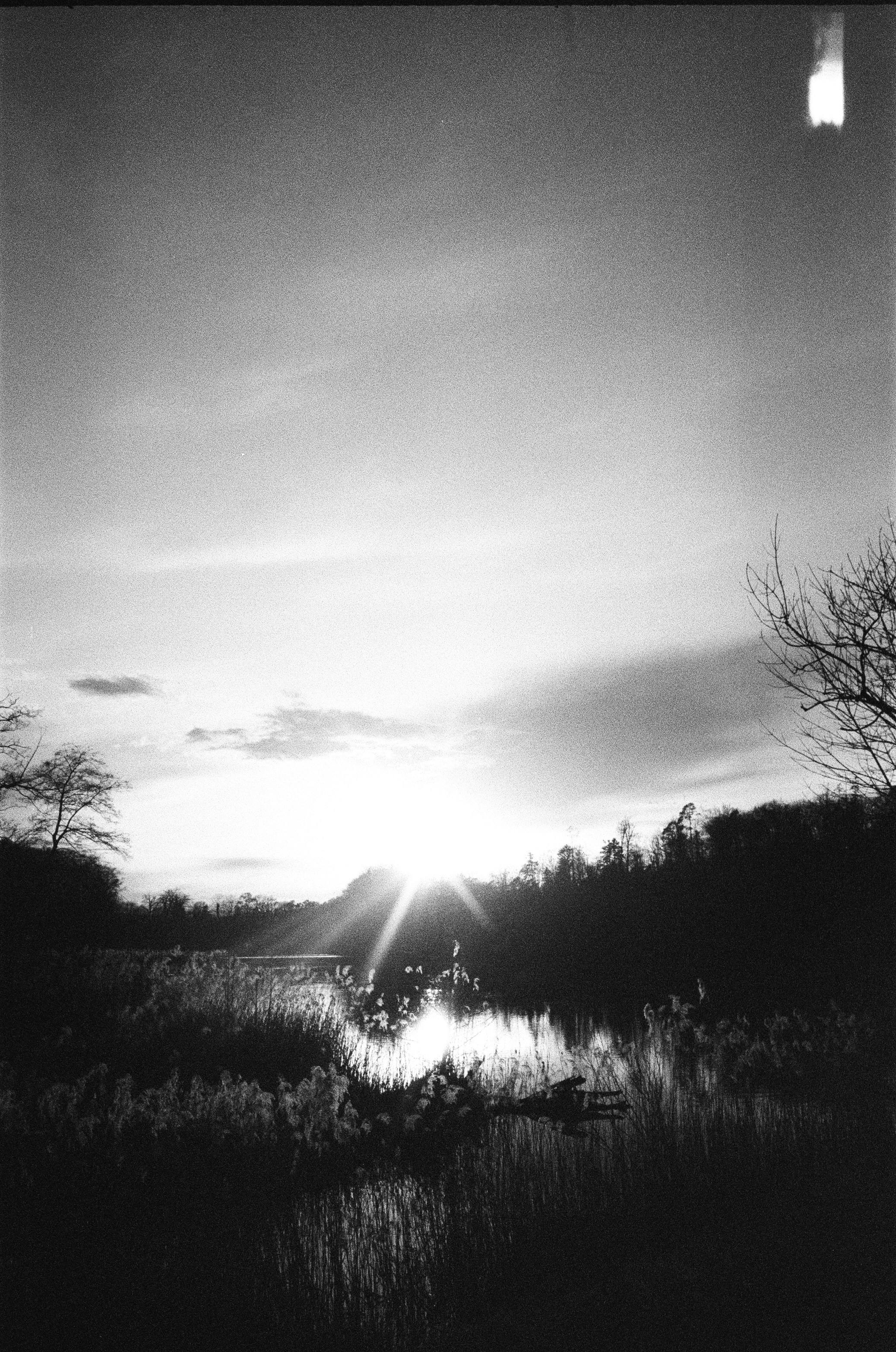 Sunset over a tranquil lake with silhouetted trees.