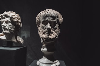 Two ancient marble busts displayed in a museum.