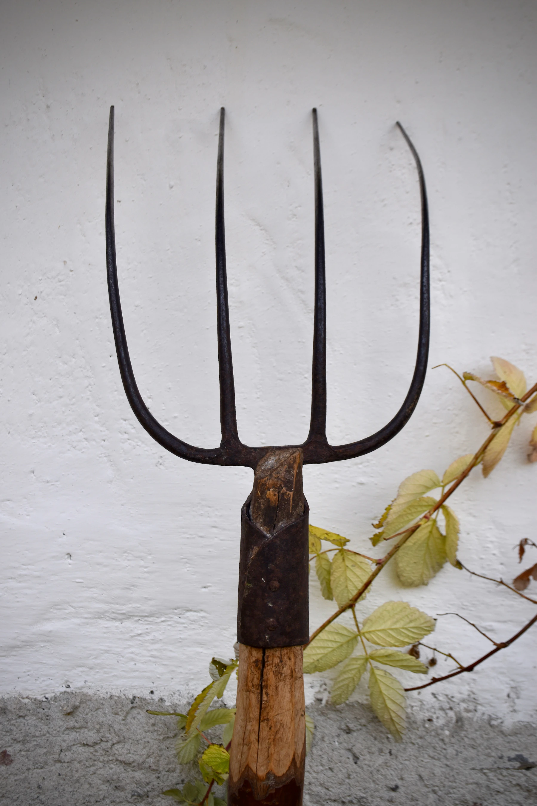 An old three-tine pitchfork leaning against a white wall