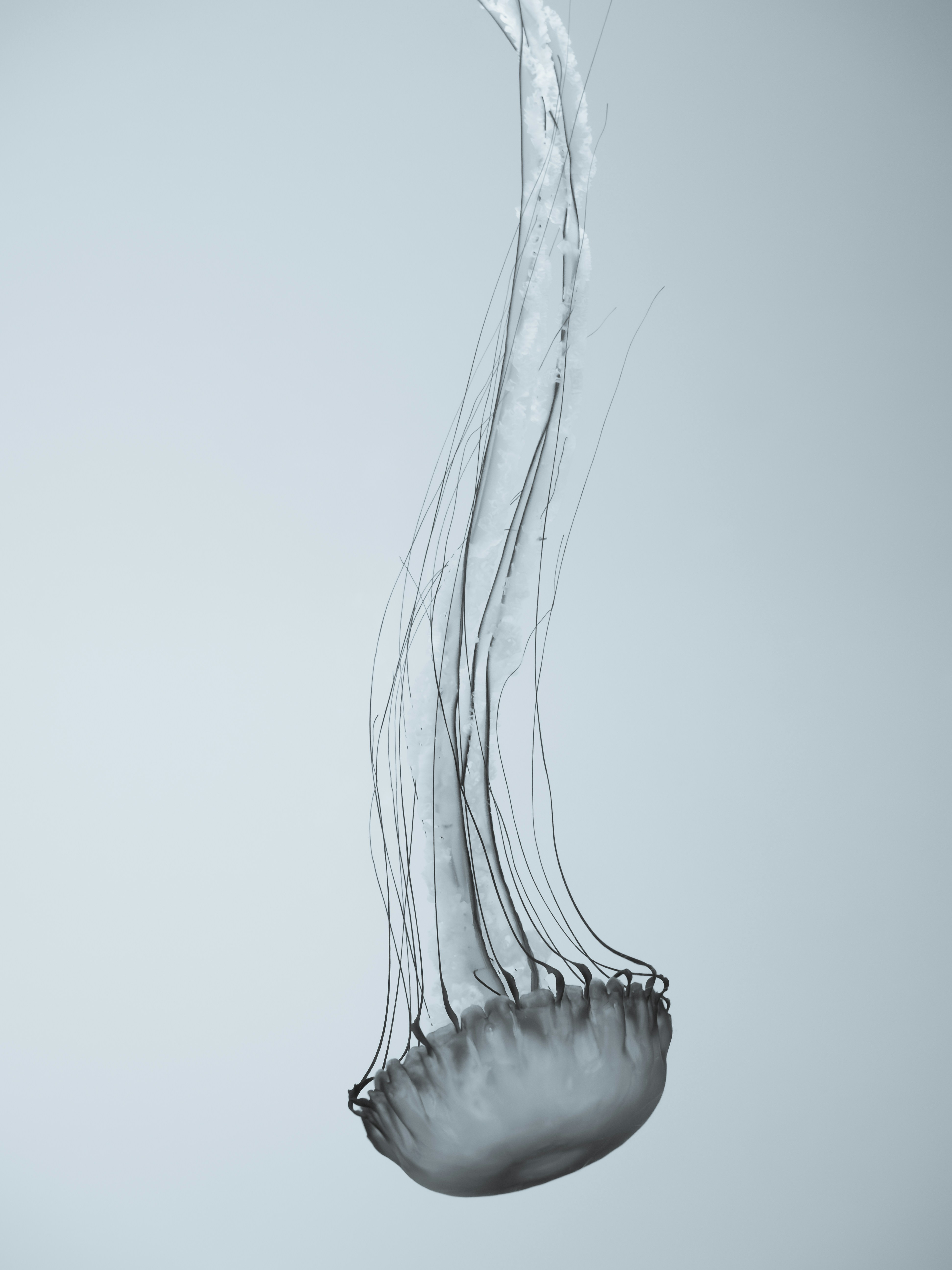 Photo by sschusterphotoart