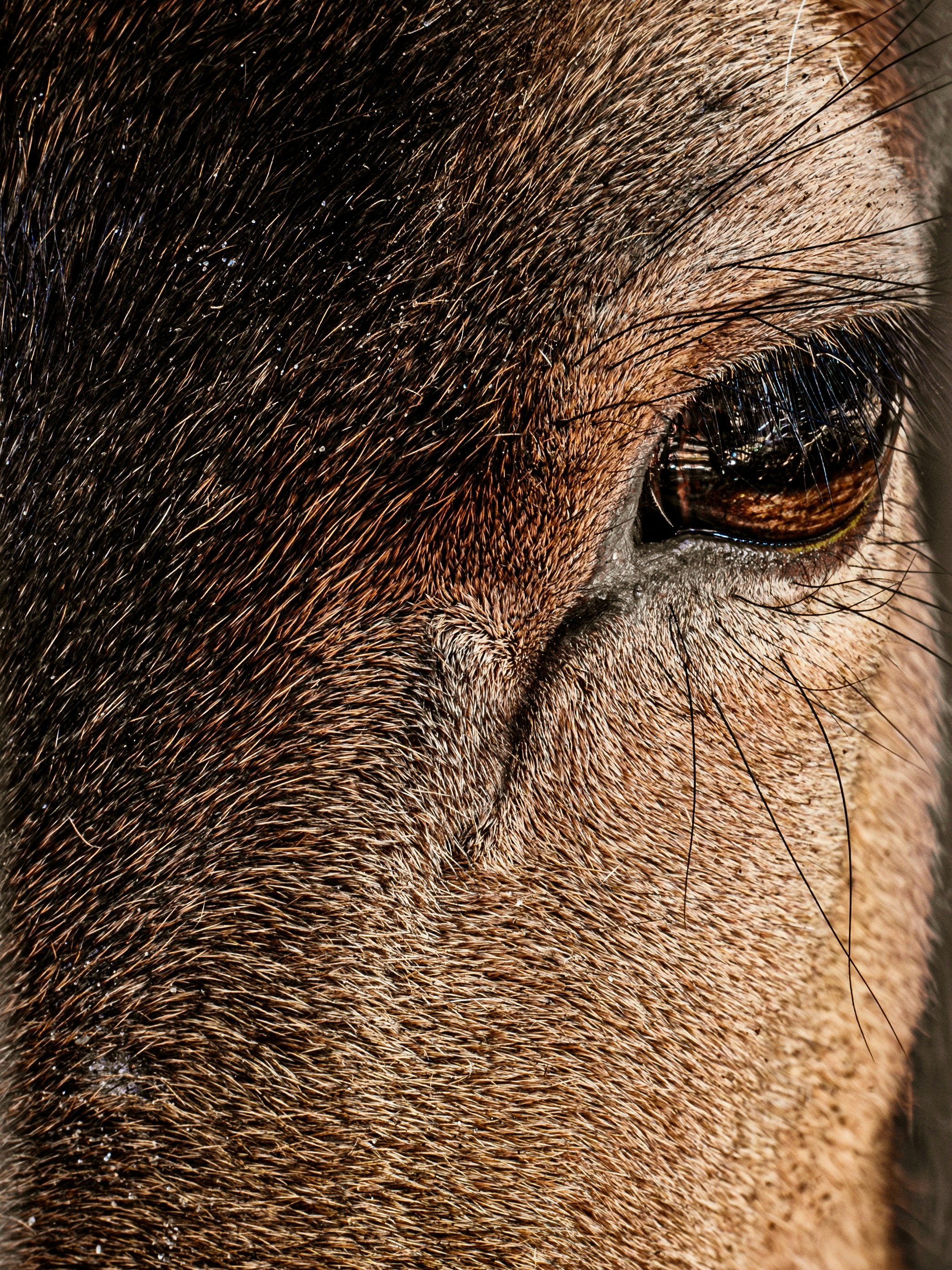 Photo by sschusterphotoart