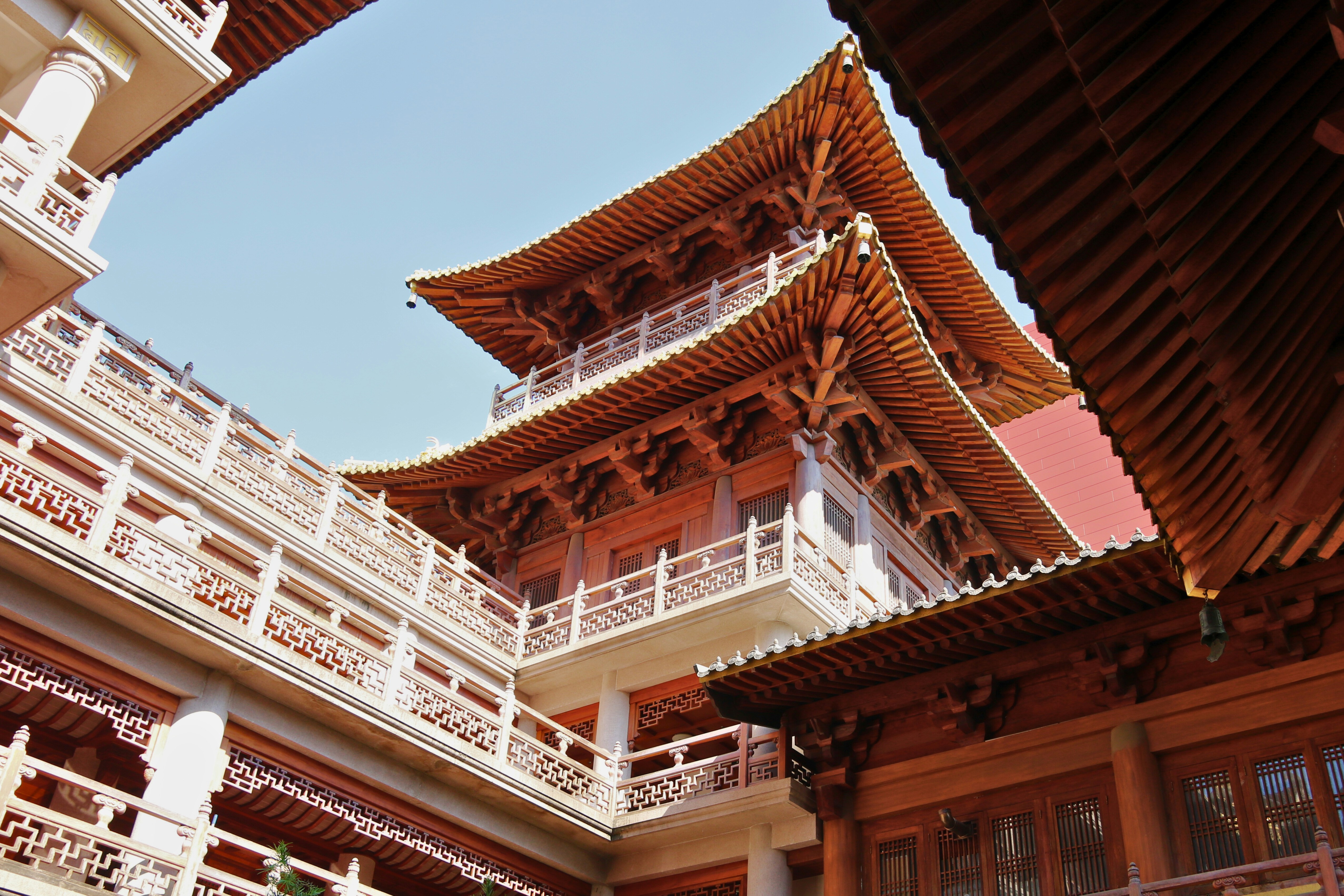 Photo by brunafisantos