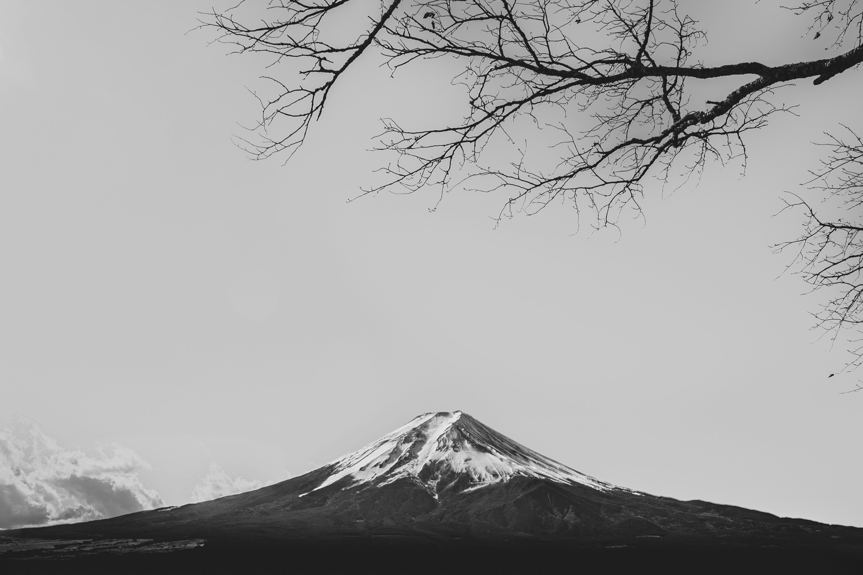 Photo by _joaquinarenas