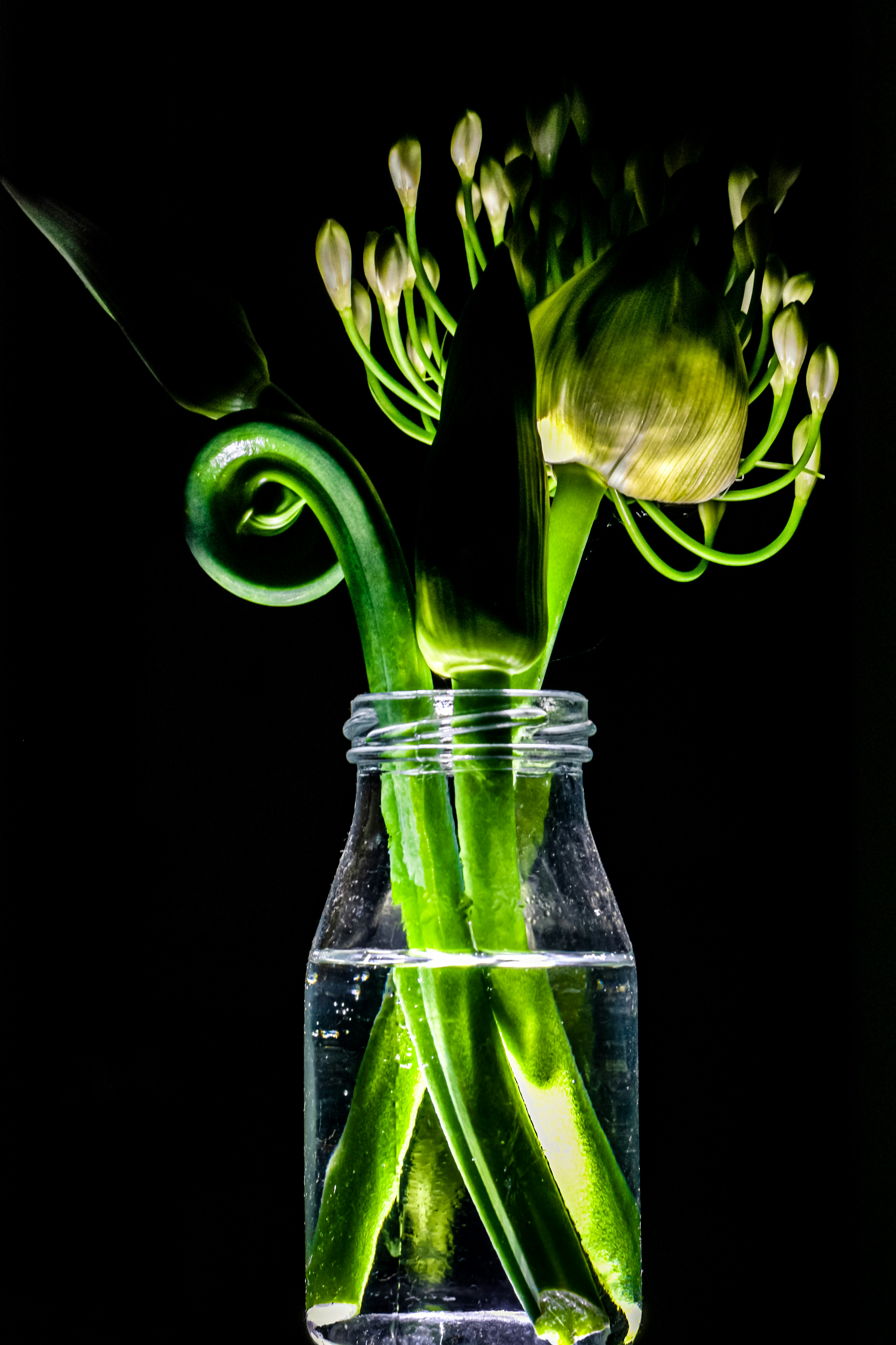 Photo by sschusterphotoart