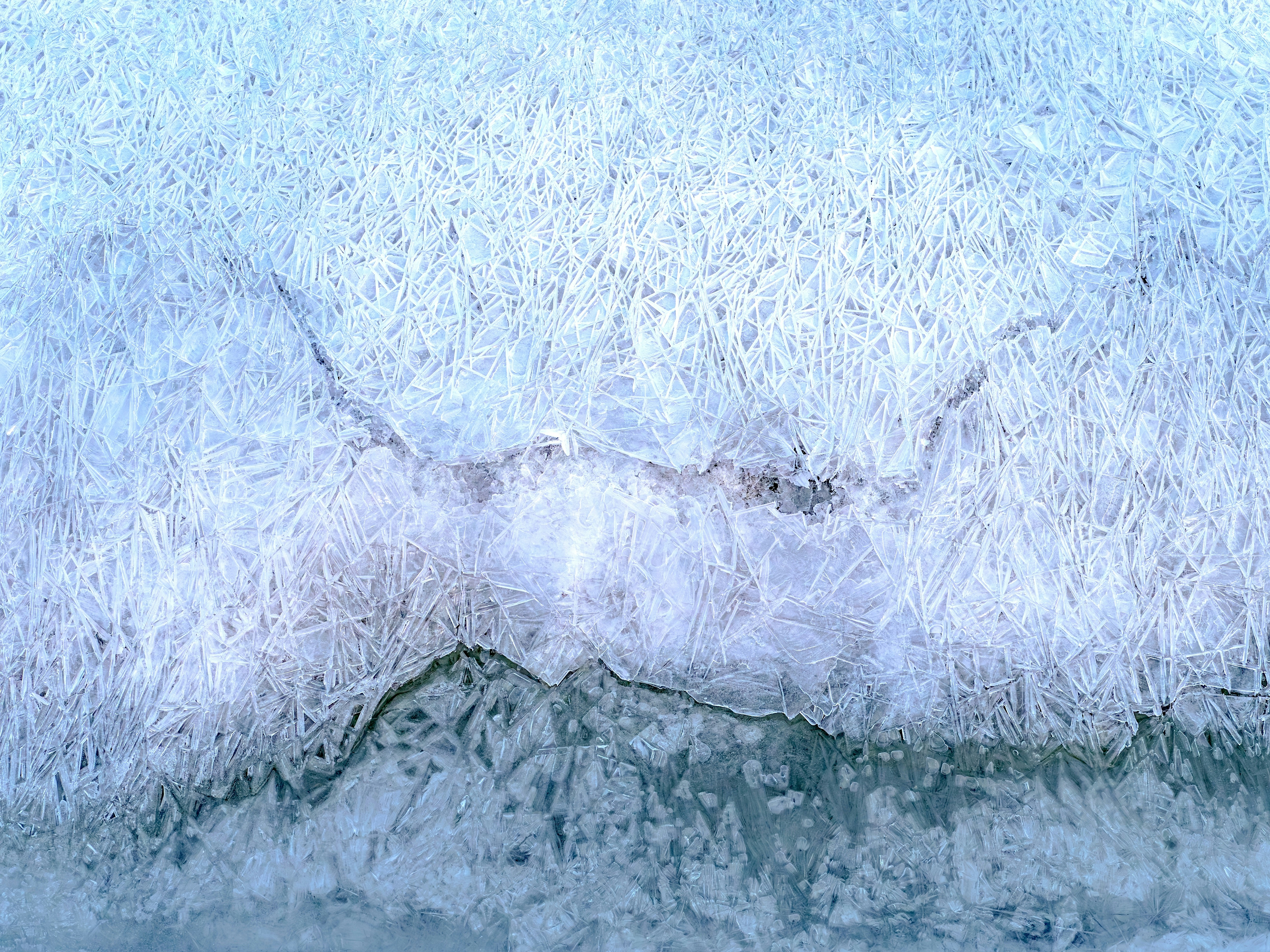 Photo by sschusterphotoart