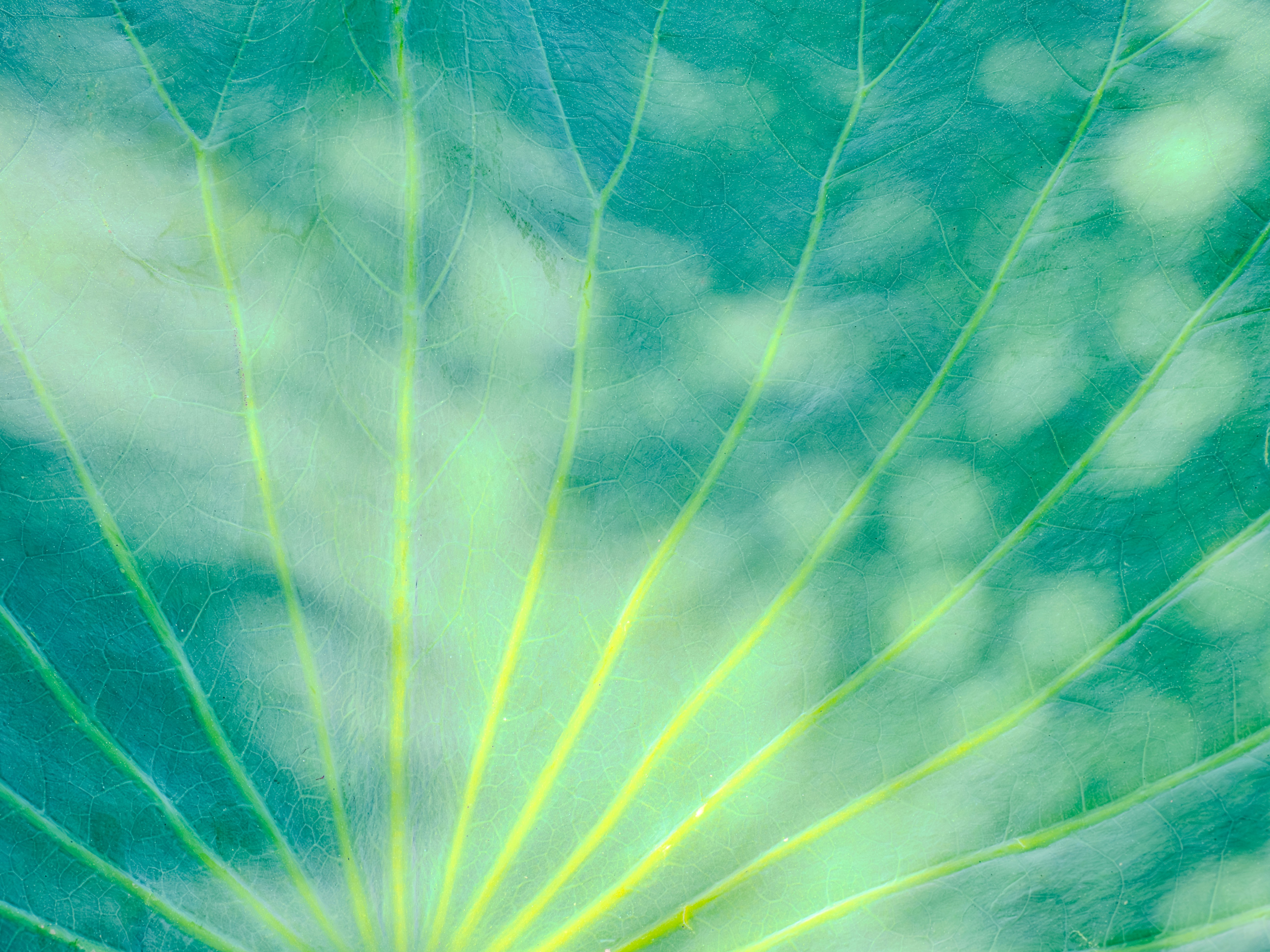 Photo by sschusterphotoart