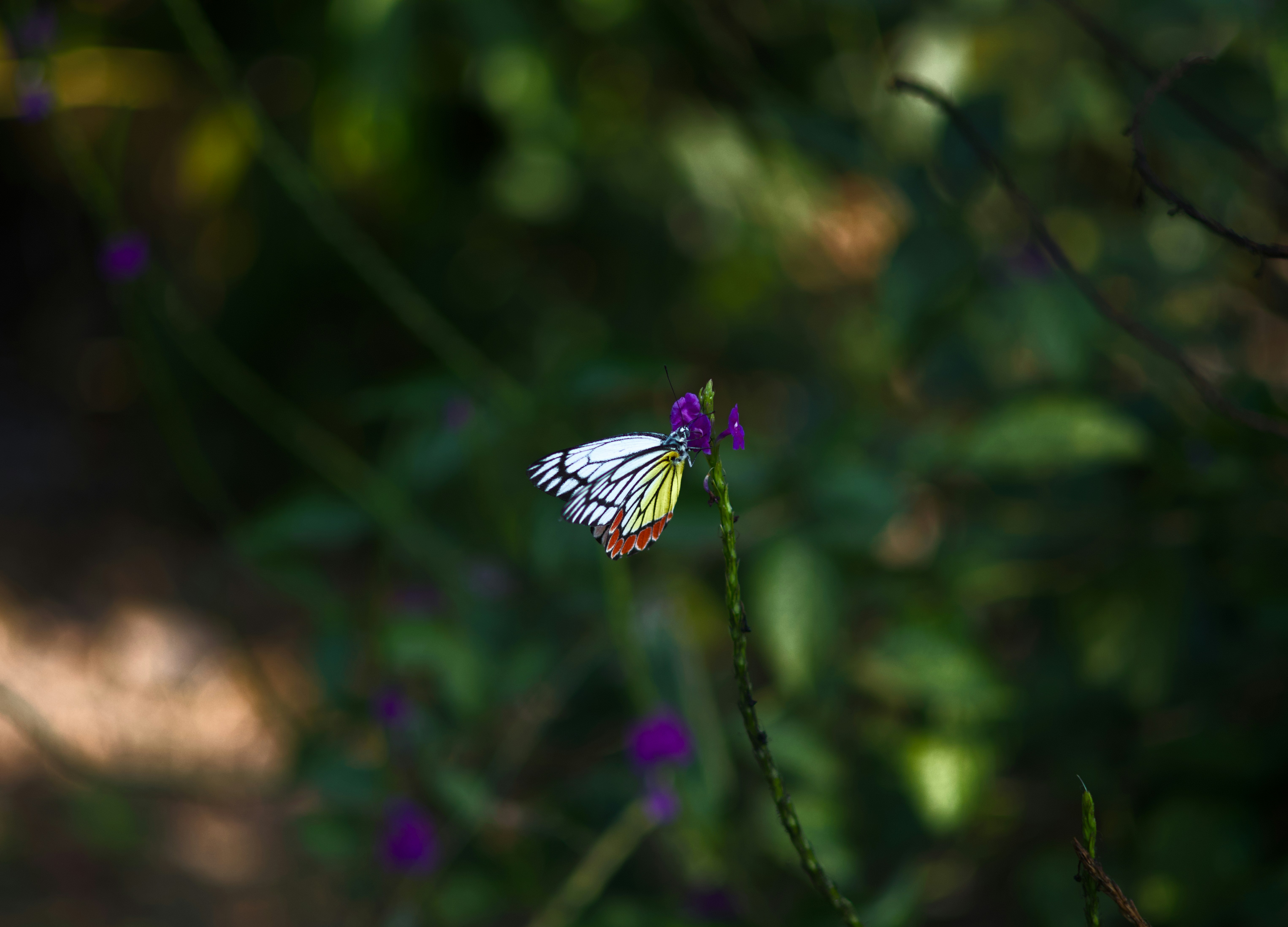 Photo by cine_photons