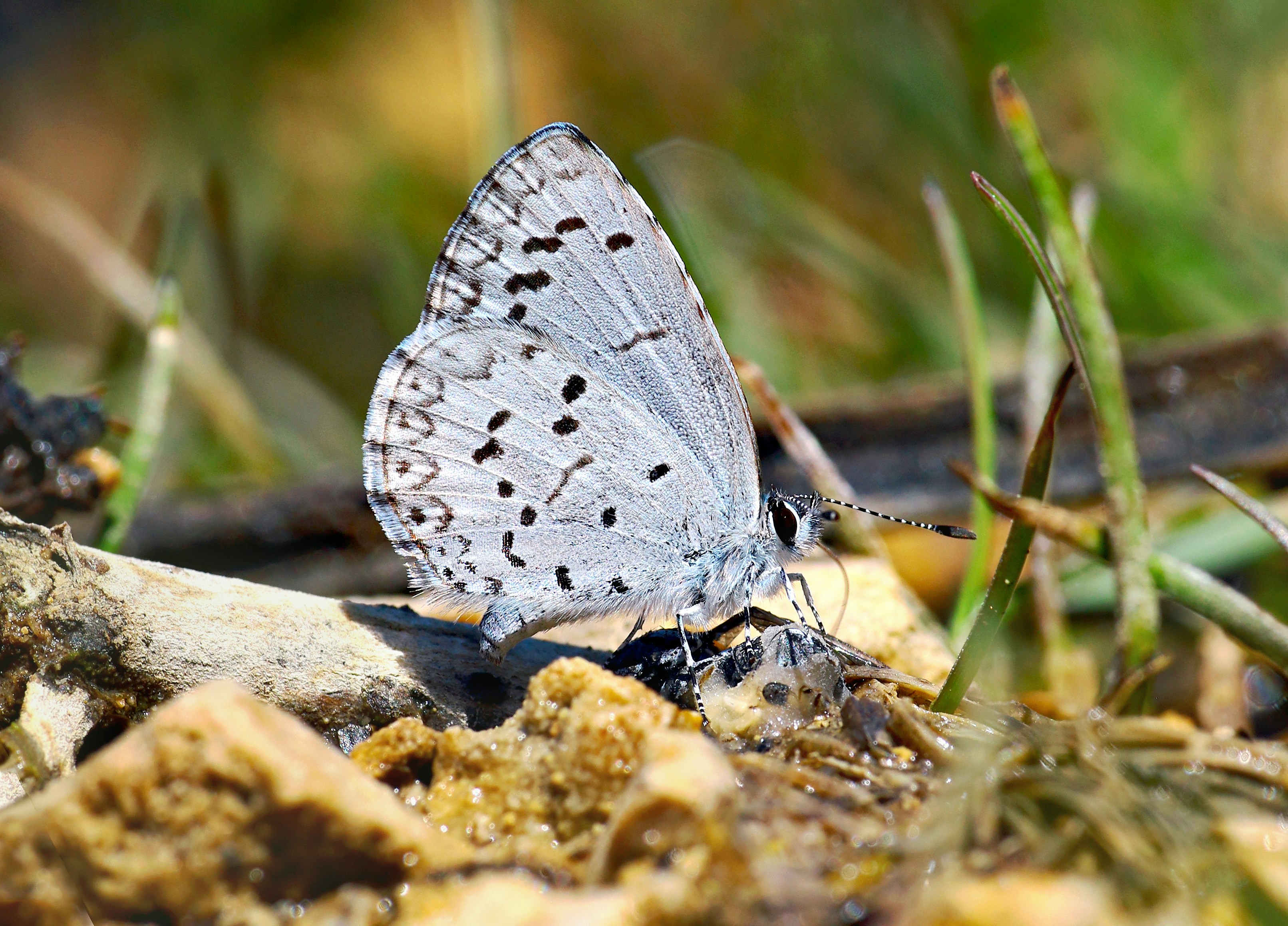 Photo by telliottmbamsc