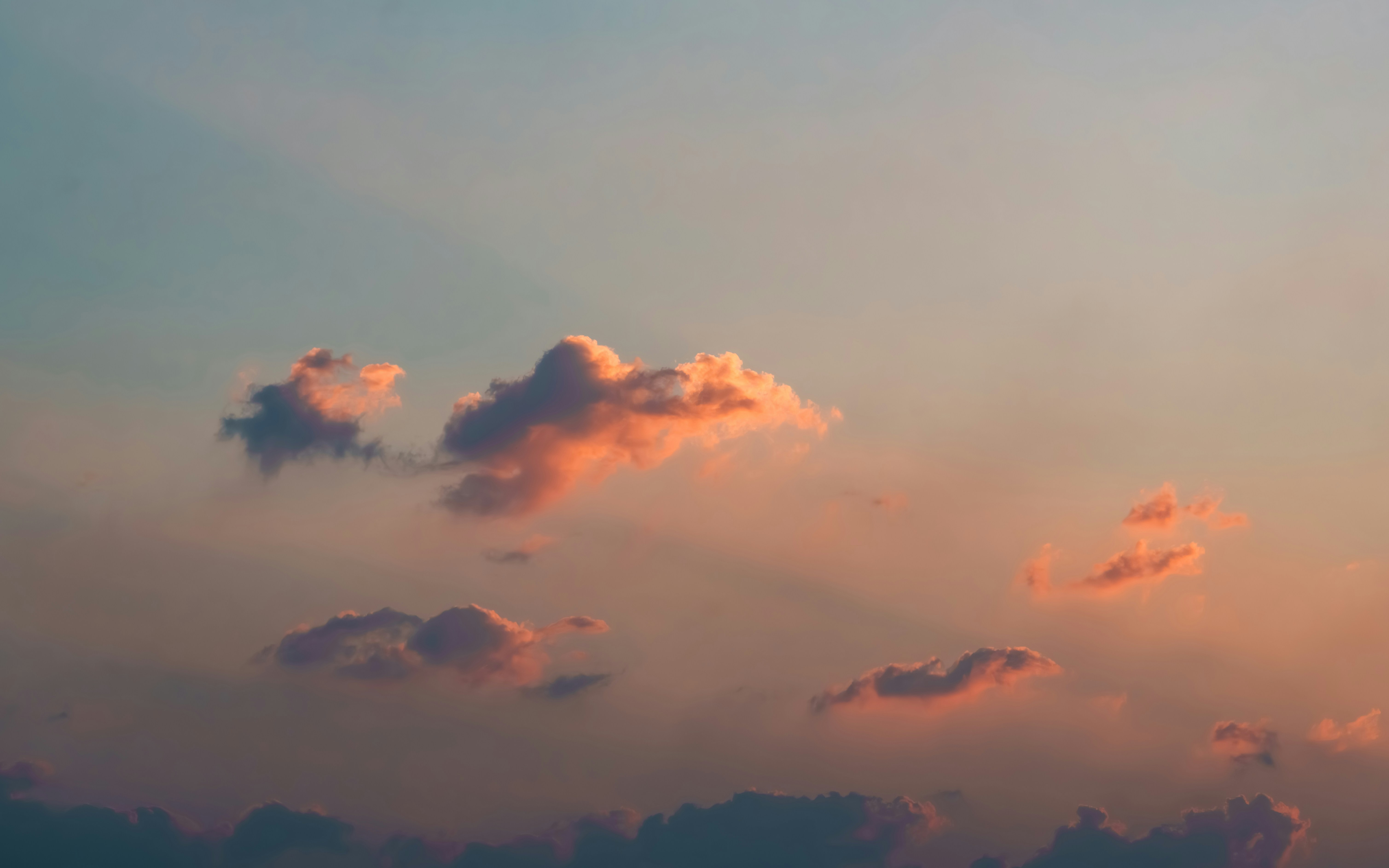 Photo by shibinjoseph