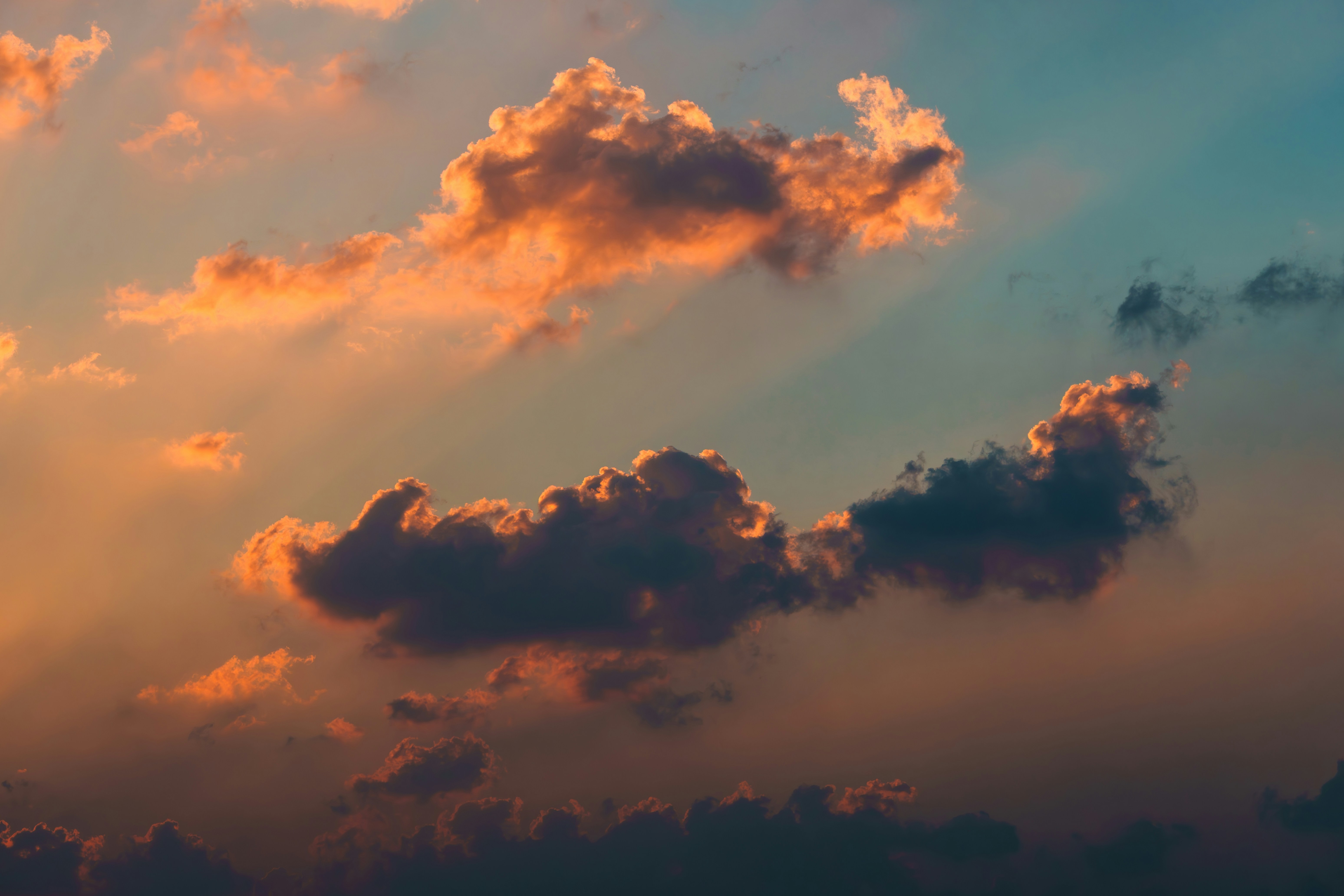 Photo by shibinjoseph