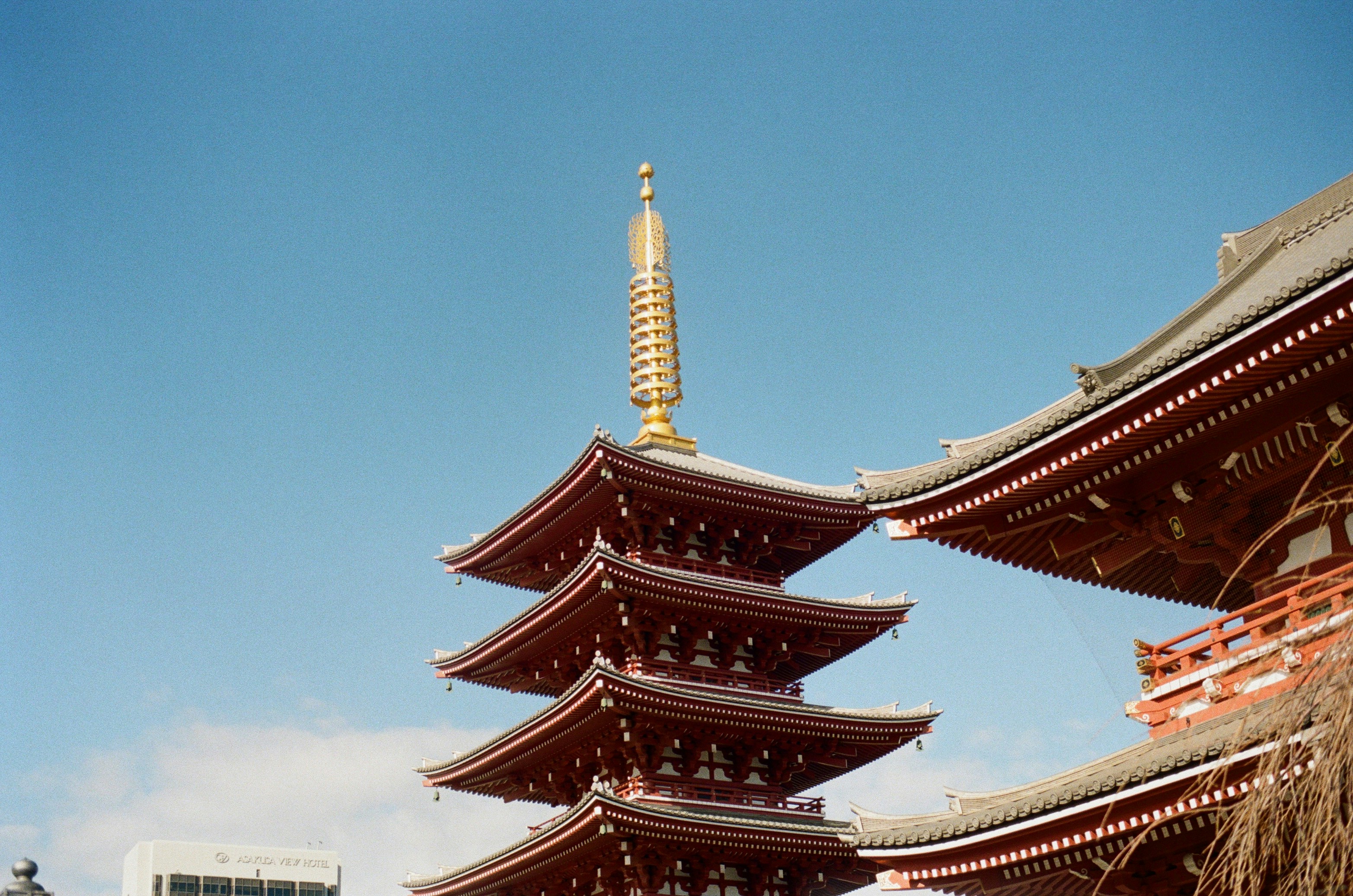 Photo by littlecarnaval