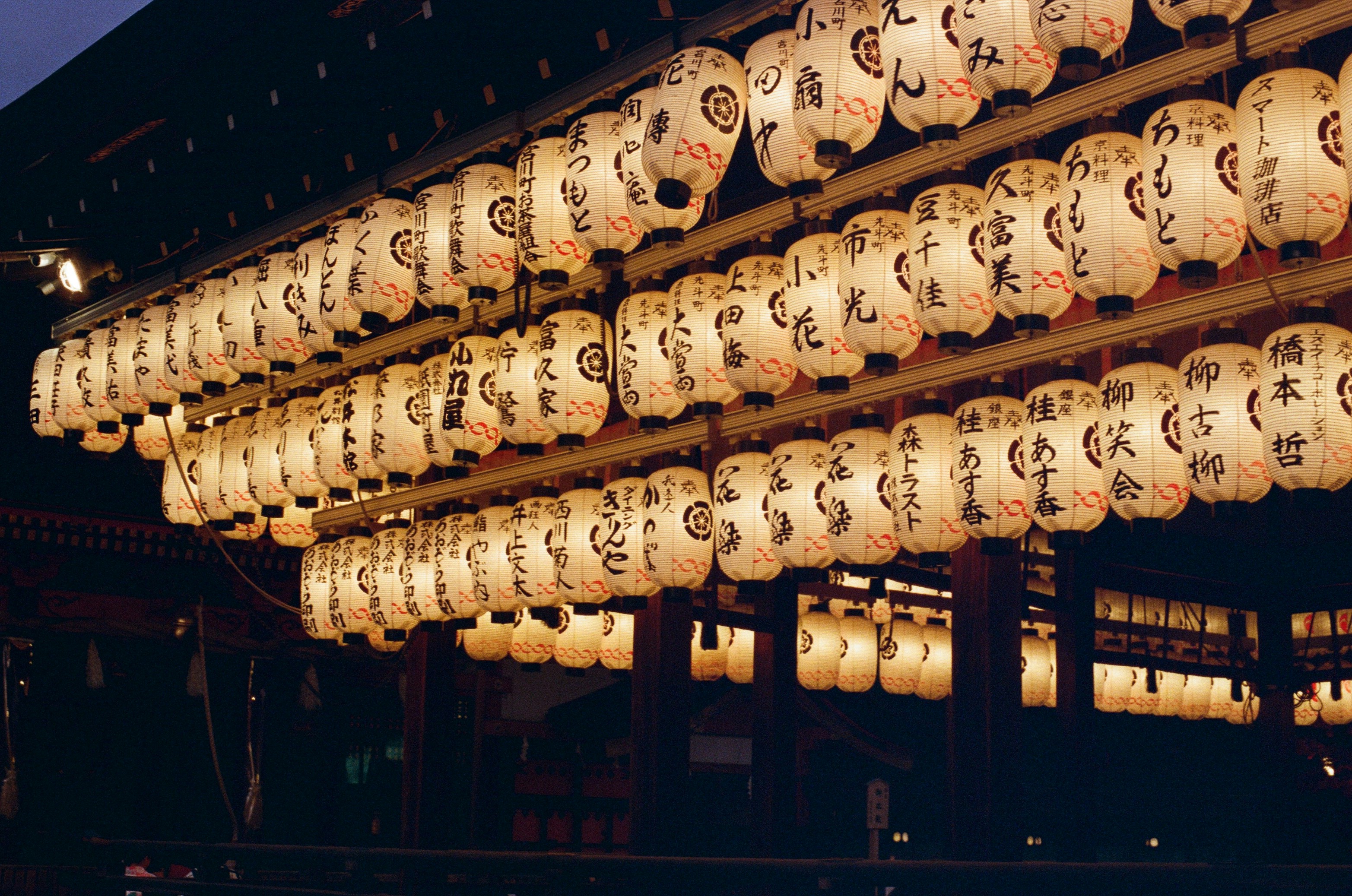 Kyoto illuminated cherry blossoms