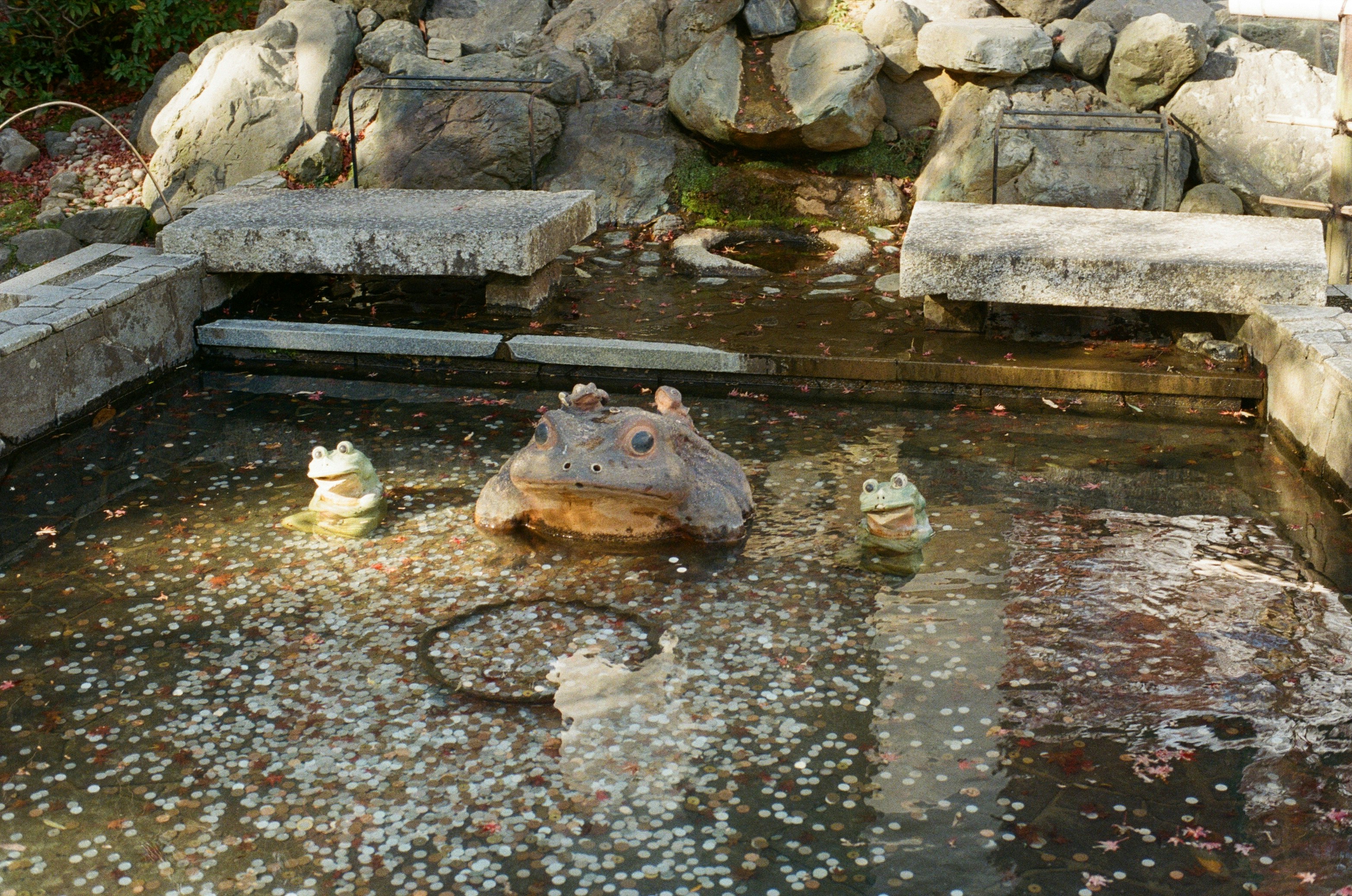 Photo by littlecarnaval