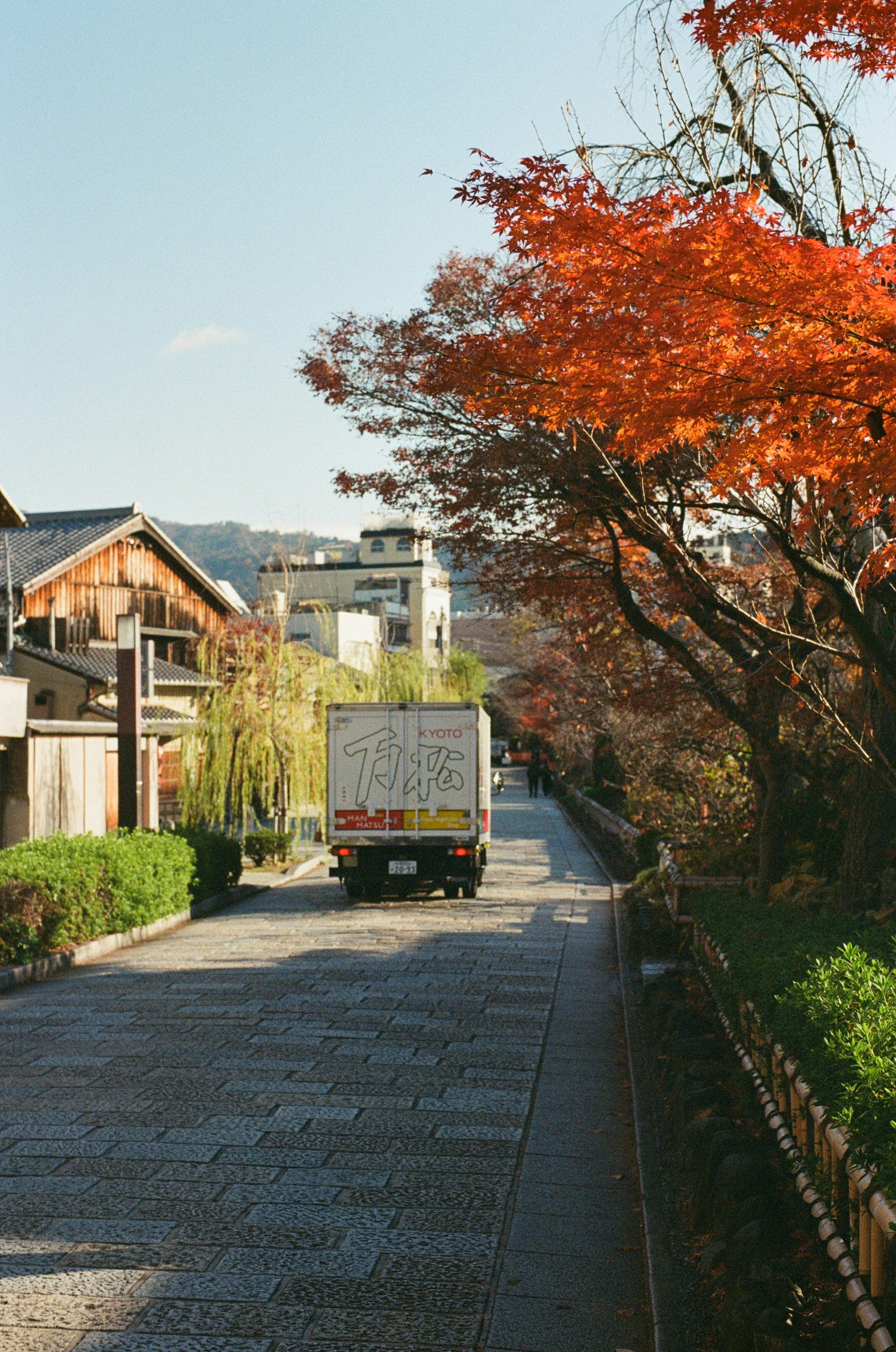 A truck drives down a stone path lined with trees.