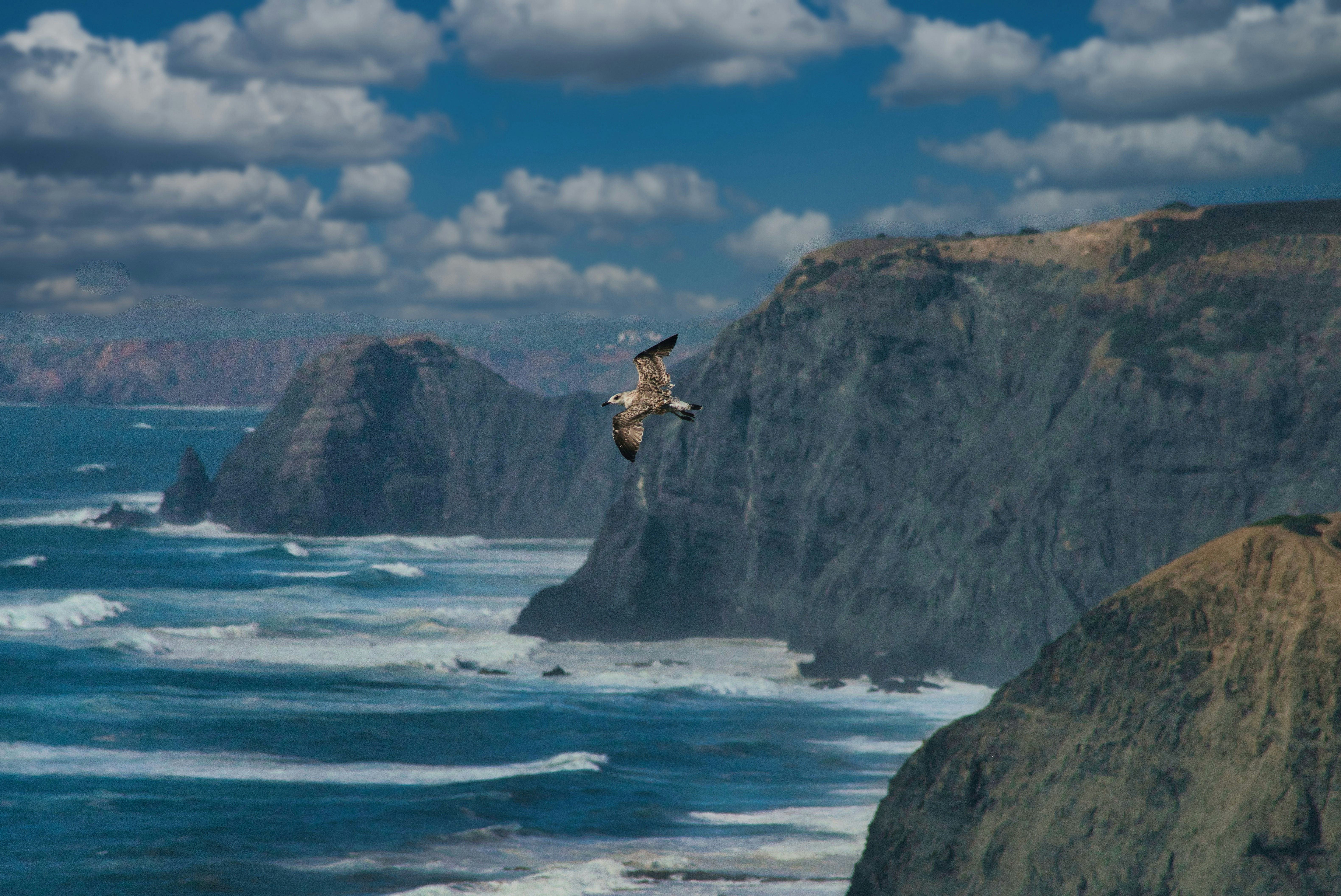 A bird flies over a rocky coastline with waves.