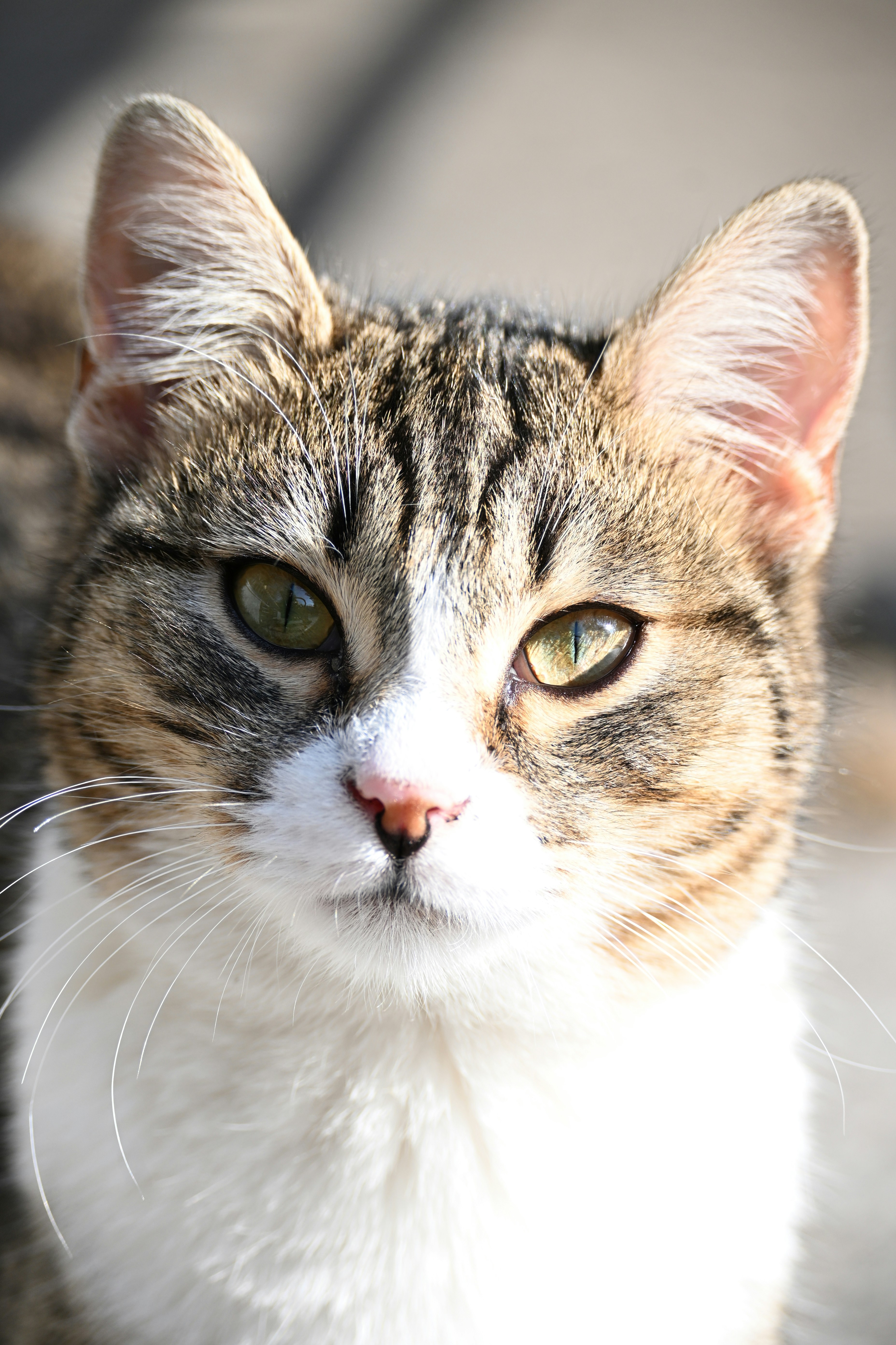 Photo by halilcelikhic