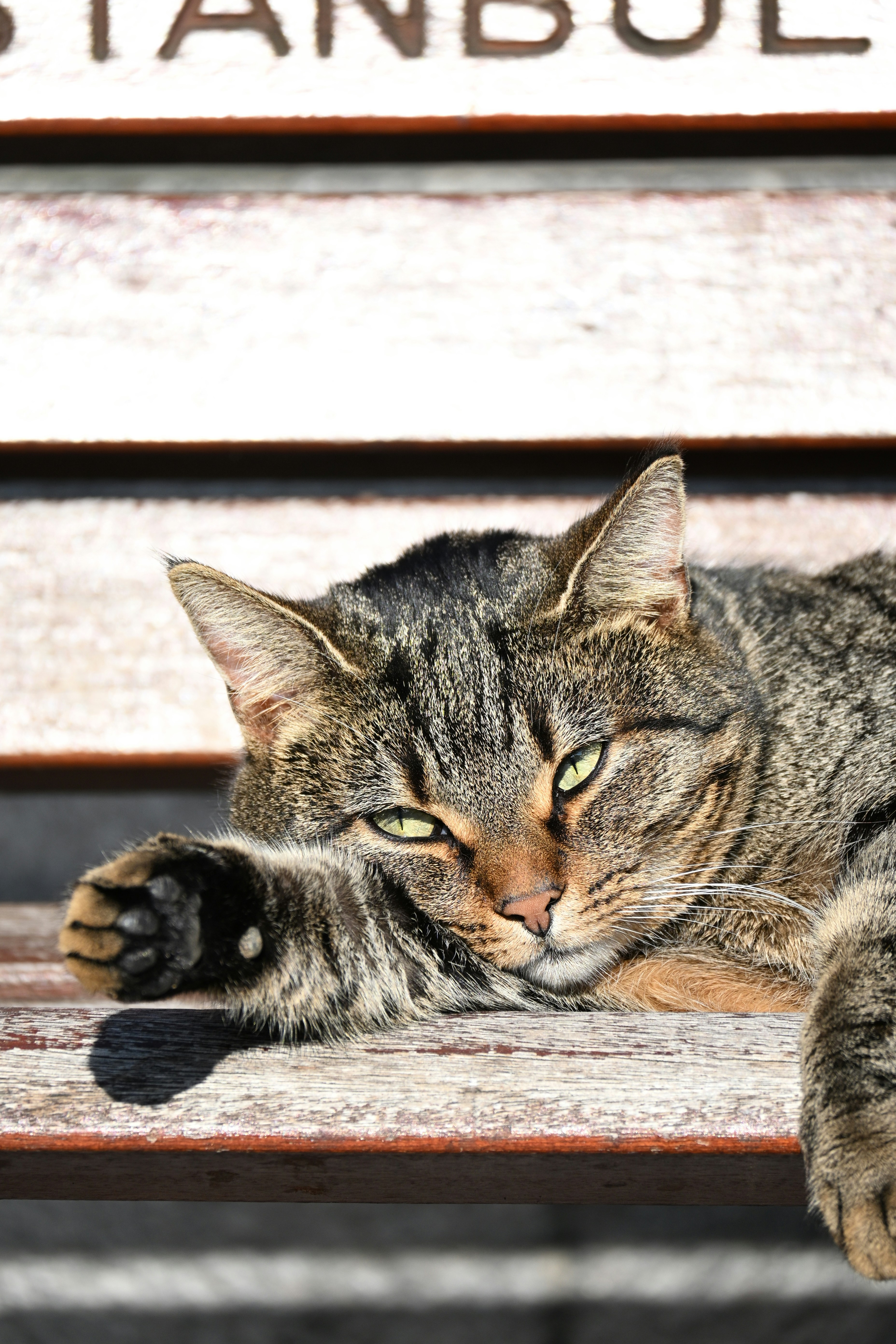 Photo by halilcelikhic