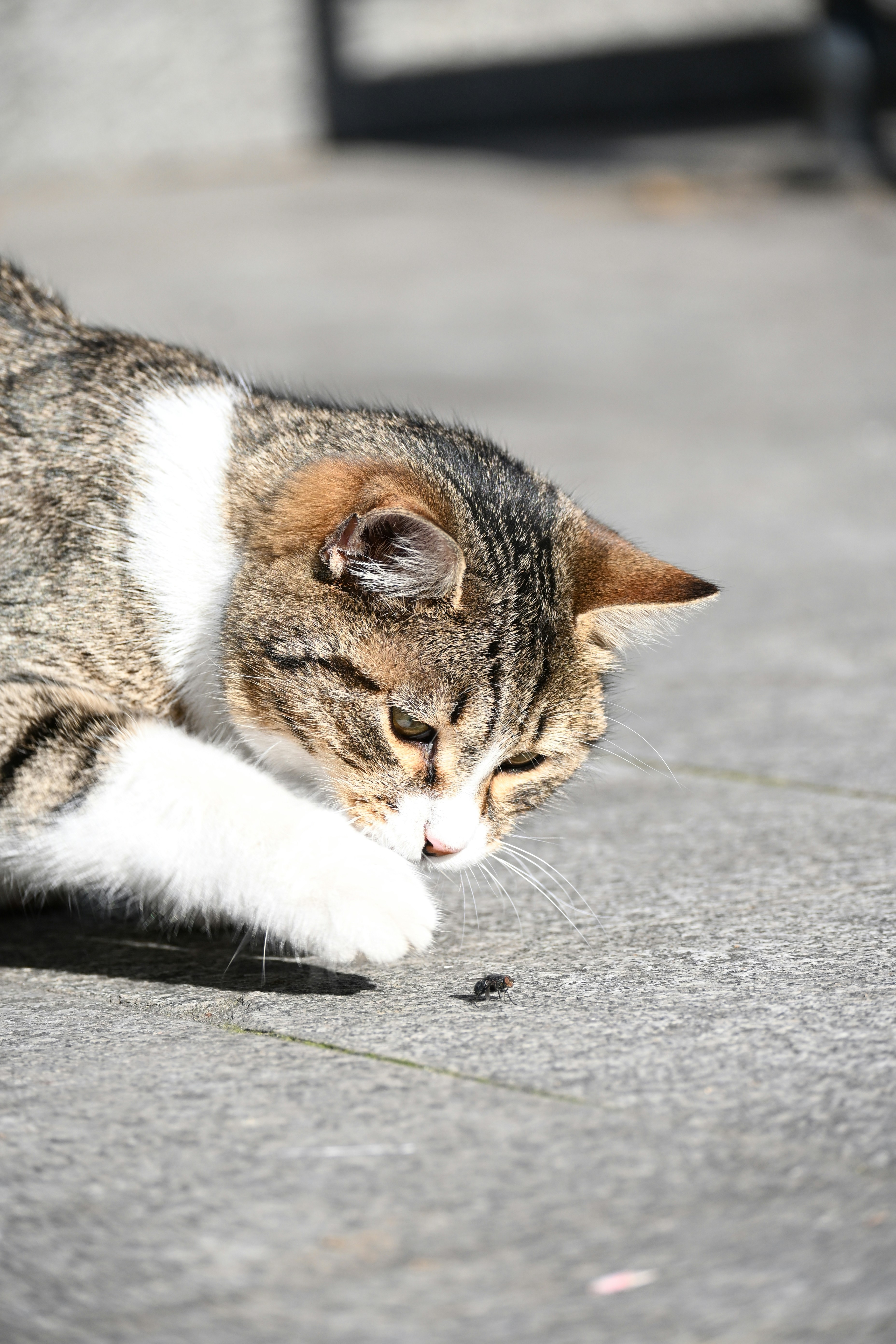 Photo by halilcelikhic