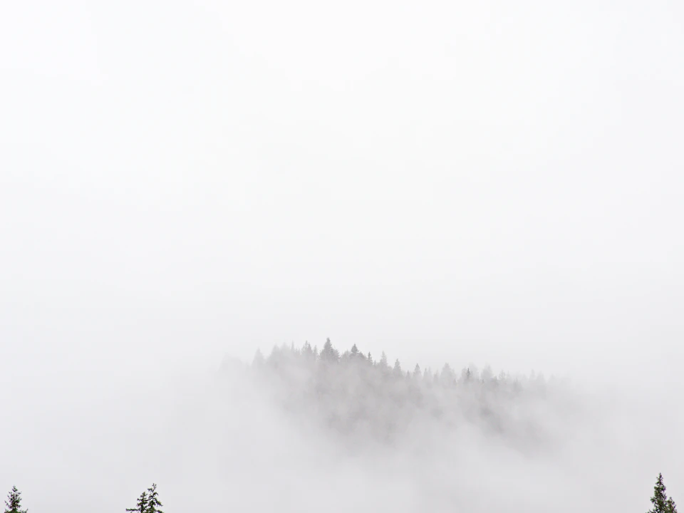 Foggy mountain landscape with dense green trees surrounding a grayish-brown hill in misty conditions