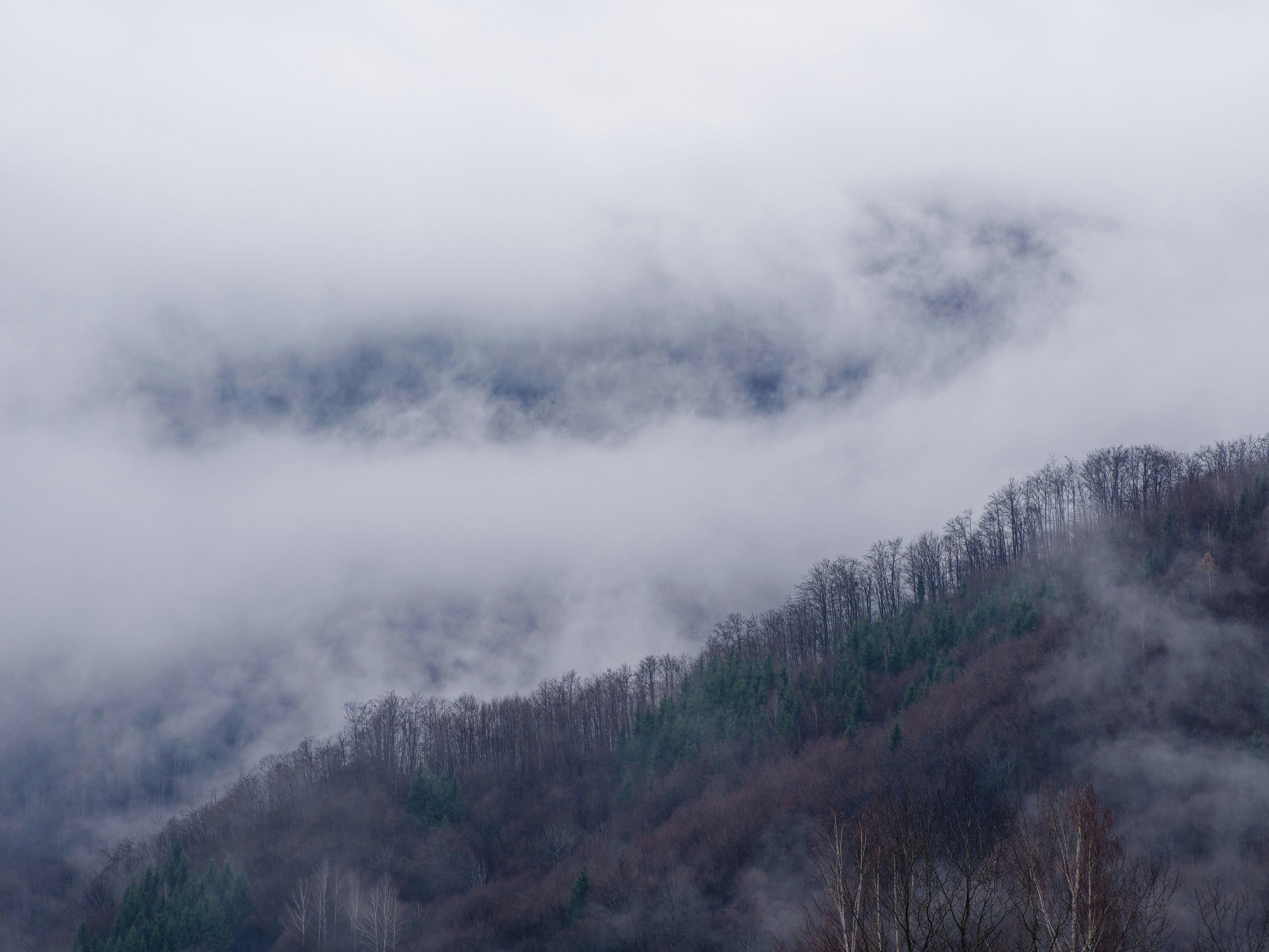 Photo by illes_cristi