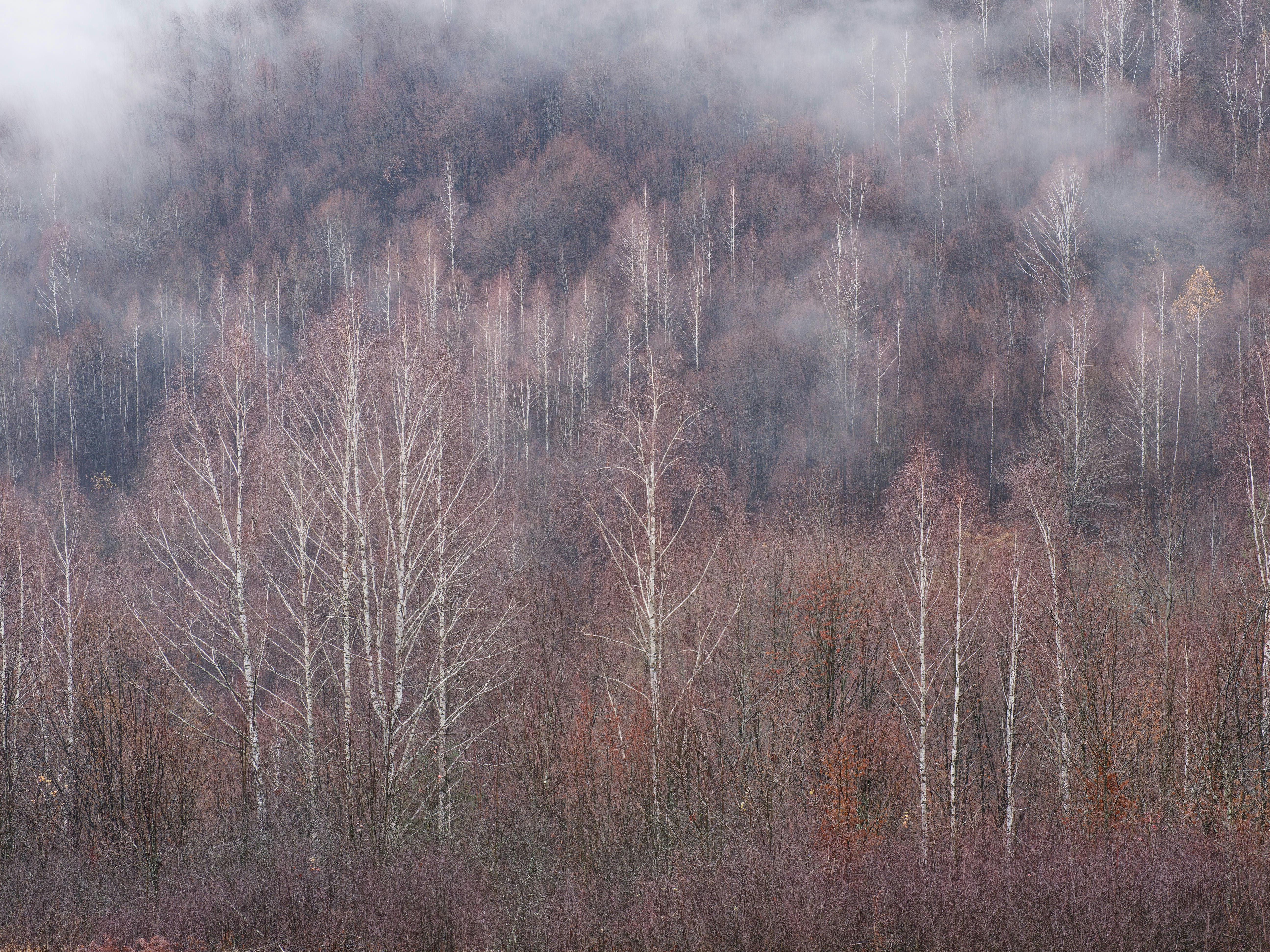 Photo by illes_cristi