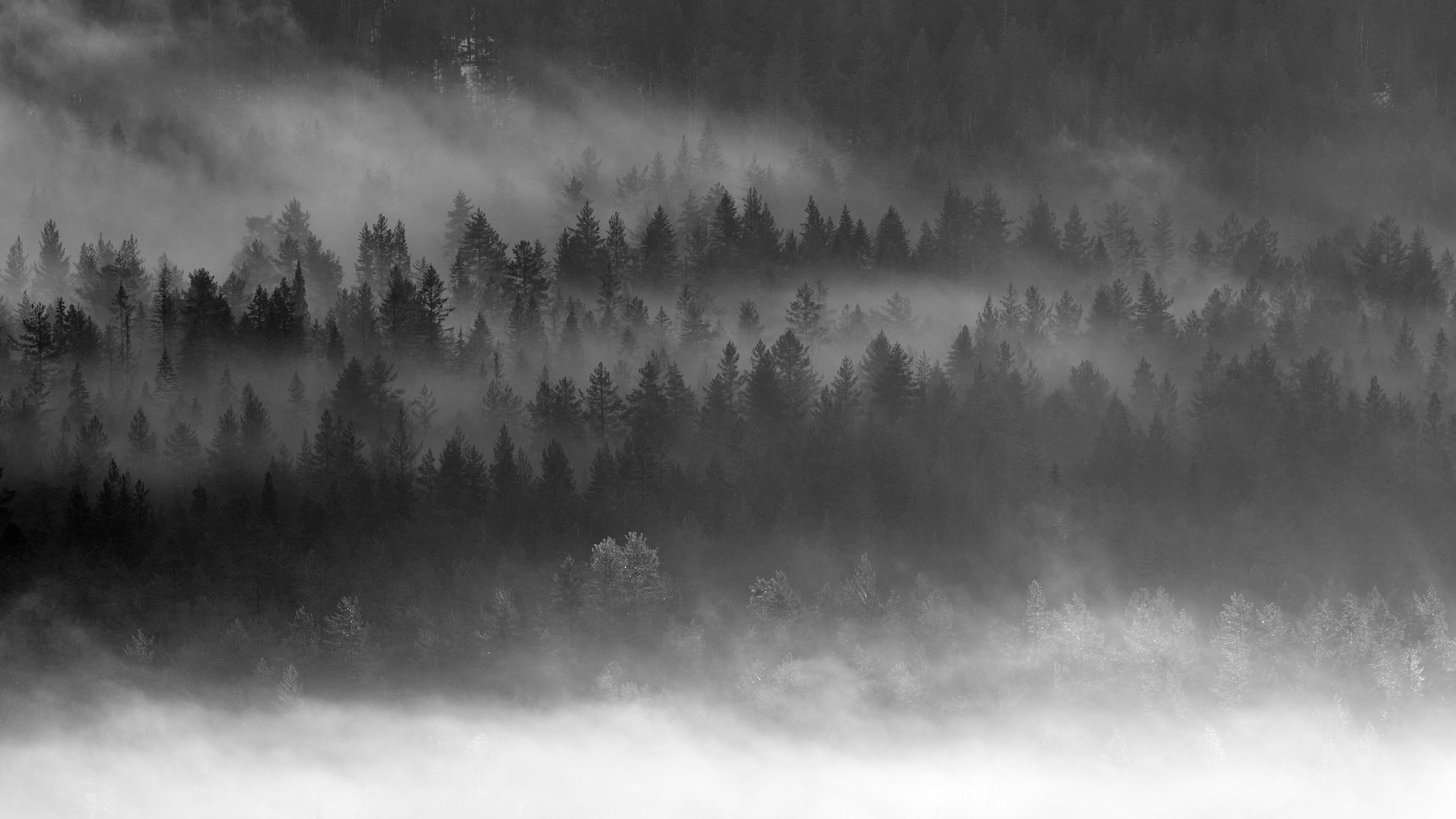 Photo by davotibarna