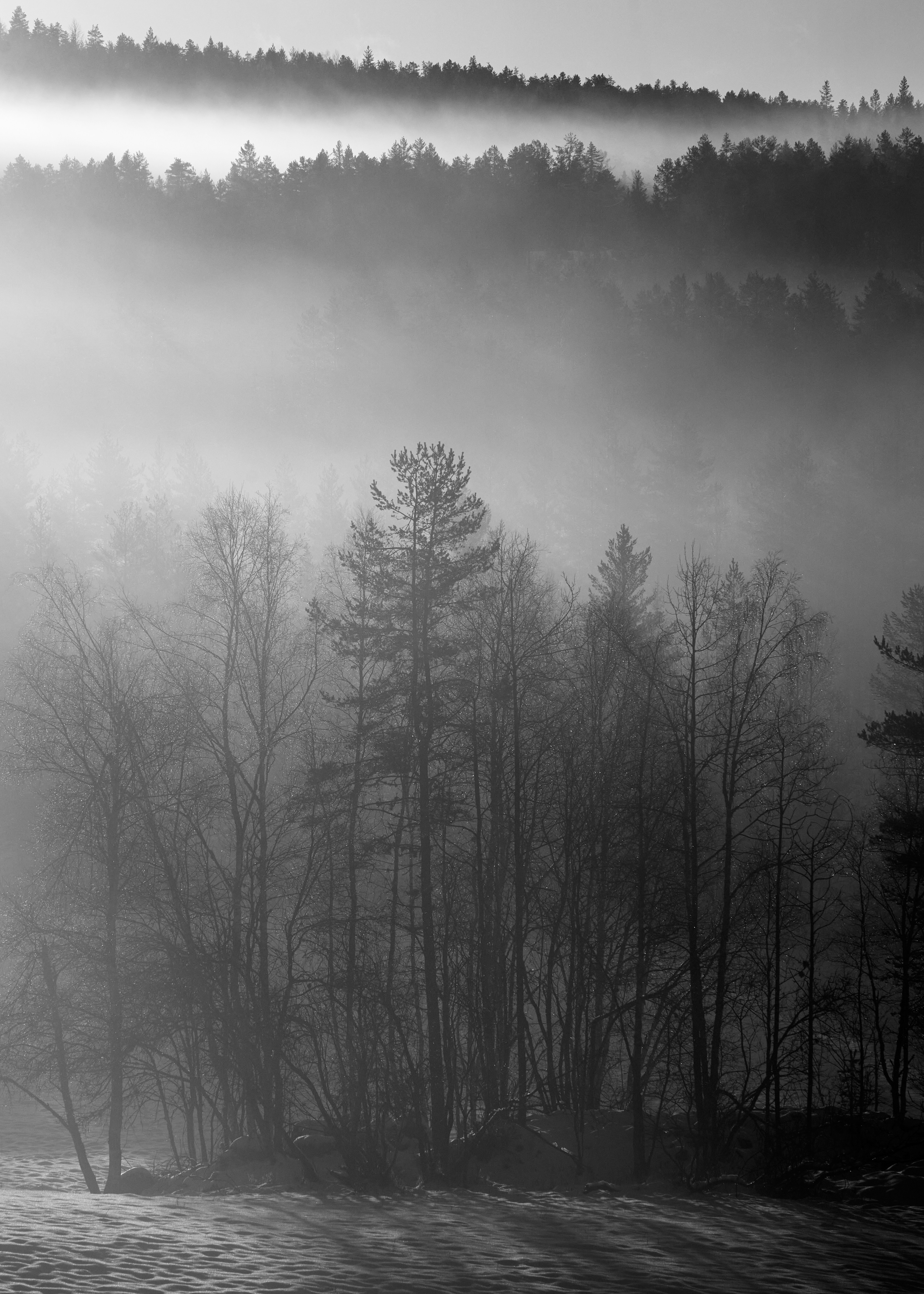 Photo by davotibarna