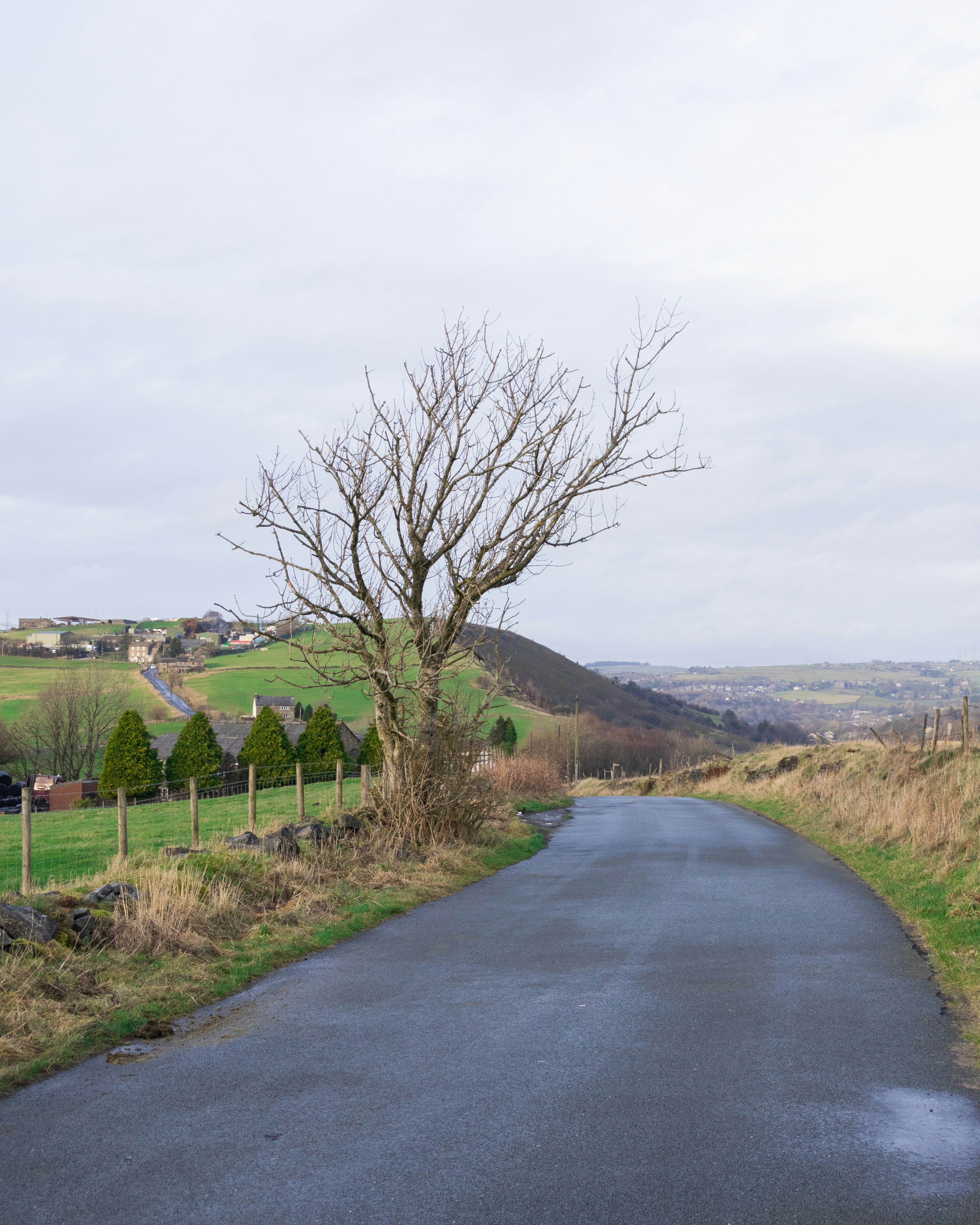 Photo by vedanthravi