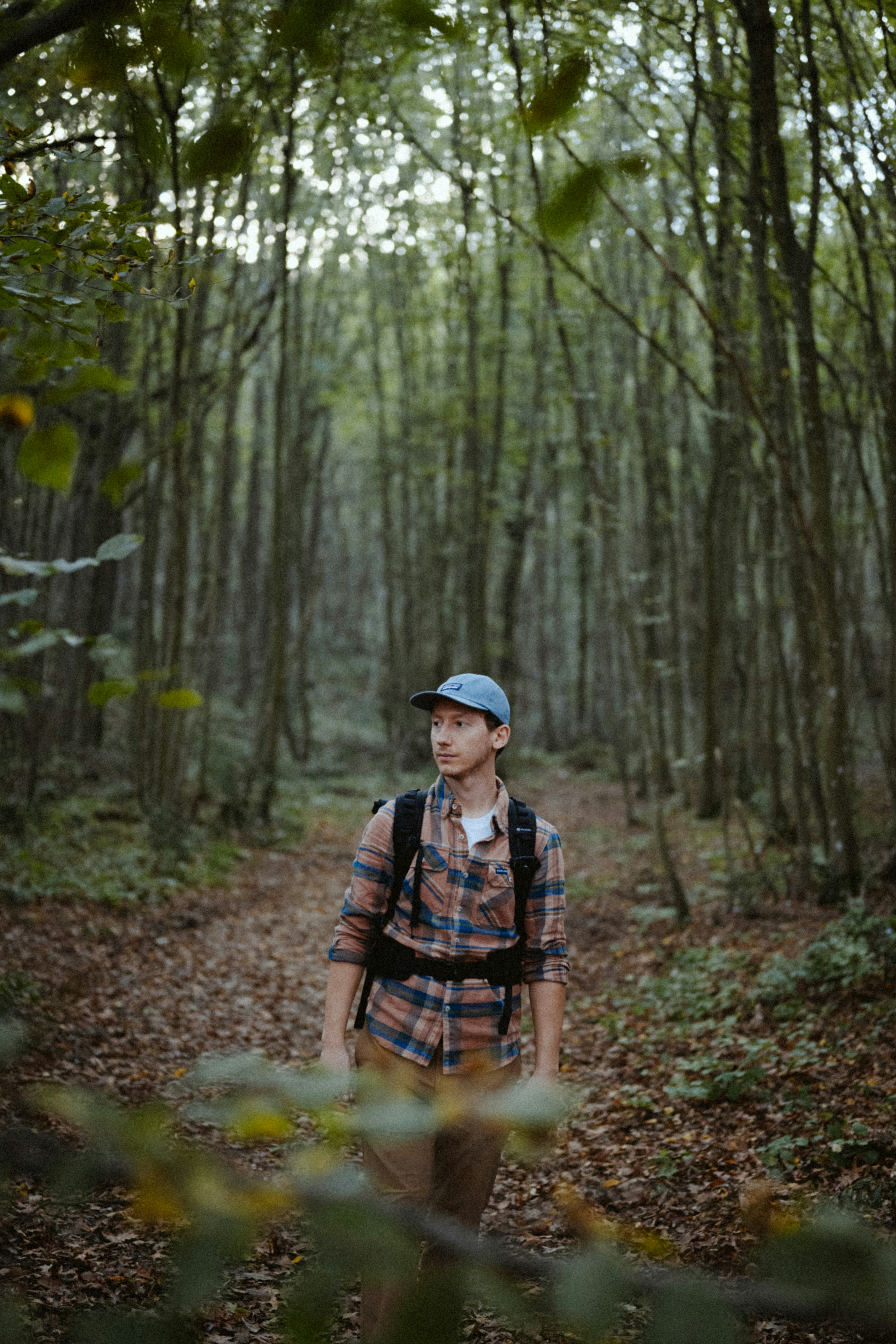 Man hiking on a forest path