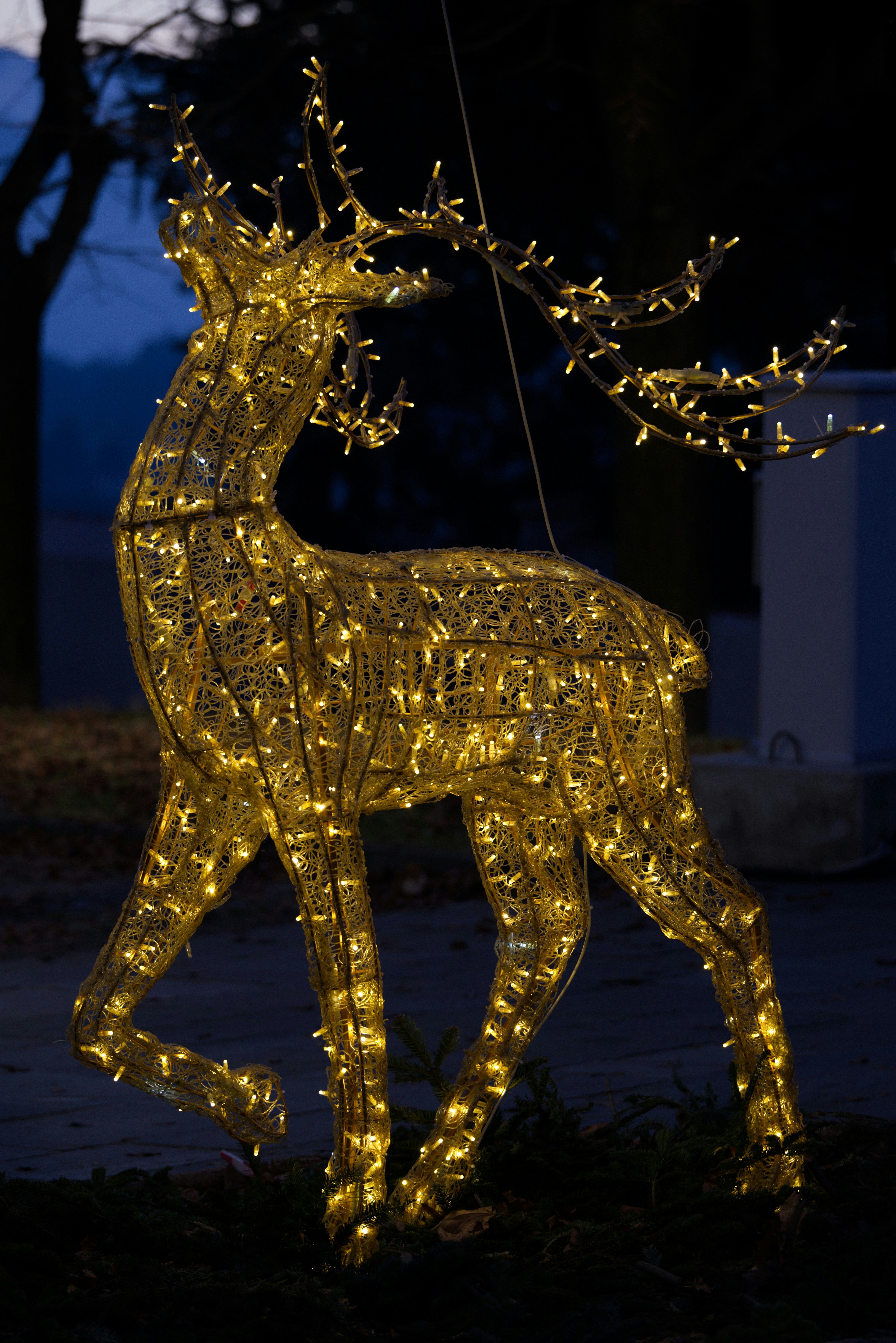 A glowing reindeer decoration with many small lights.