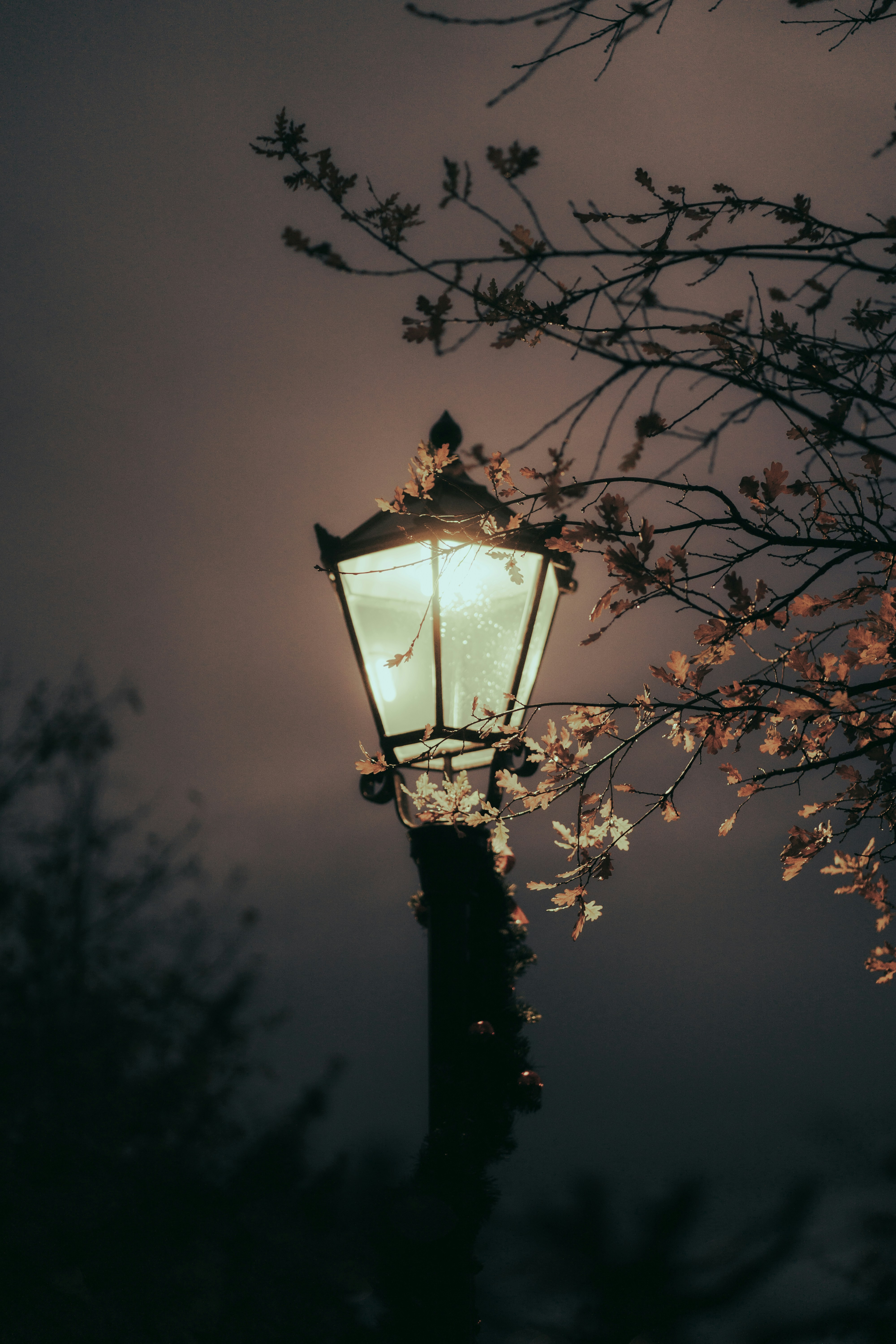 Photo by aravind_balabhaskar