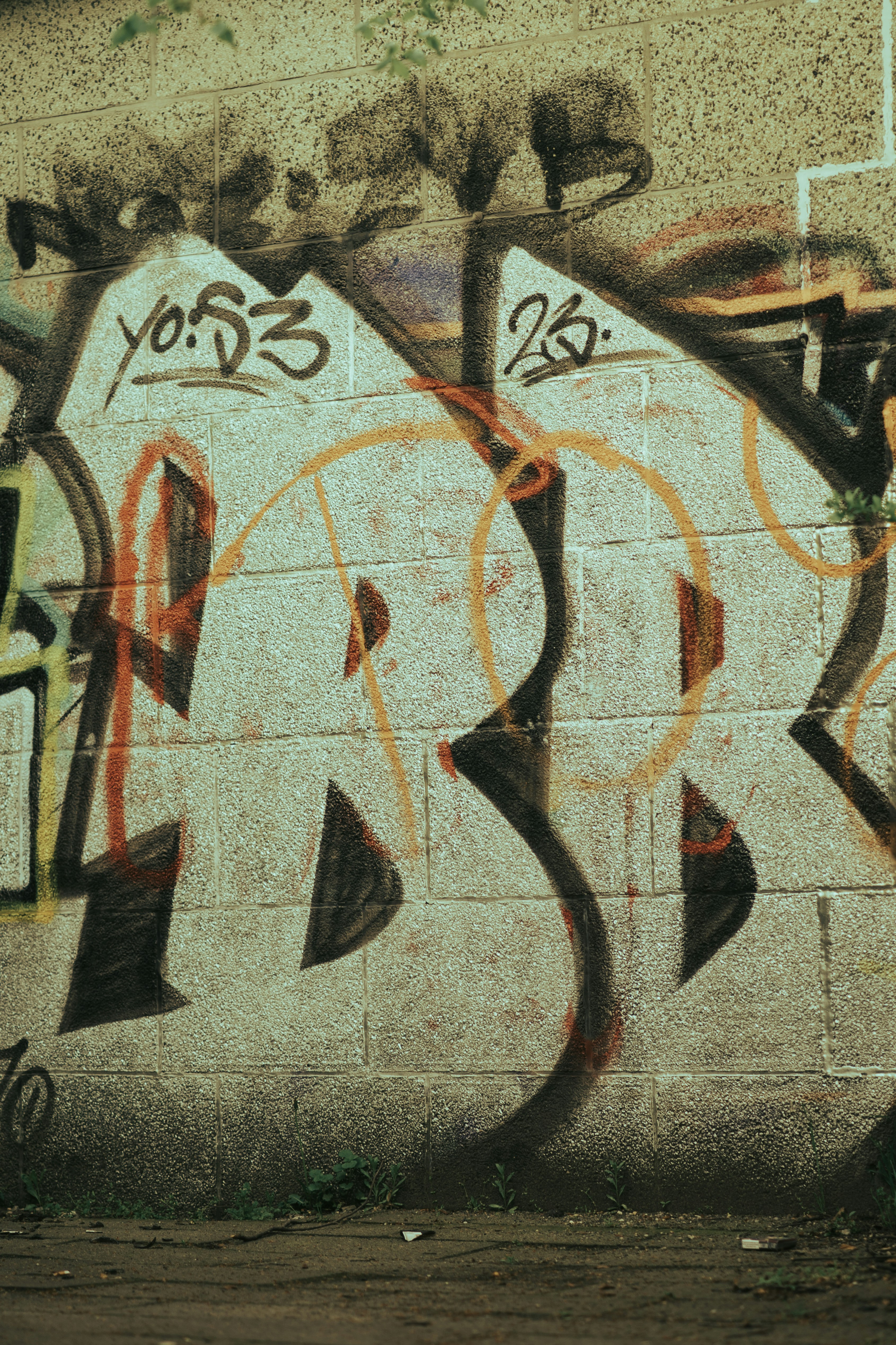 Photo by aravind_balabhaskar