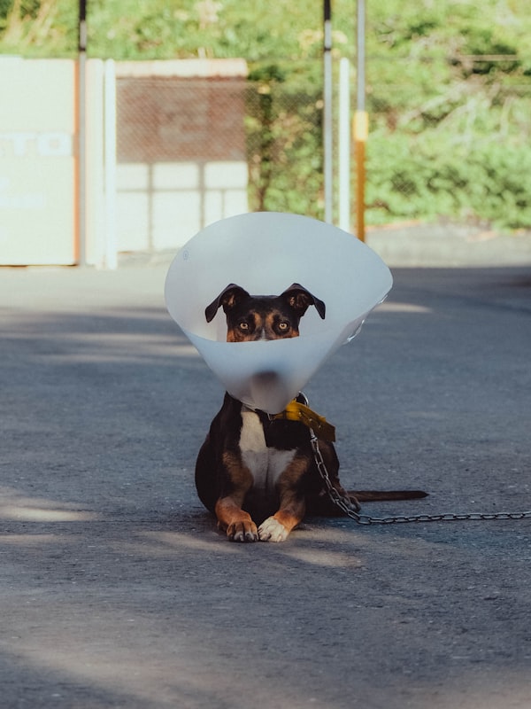 Po úrazech a operacích