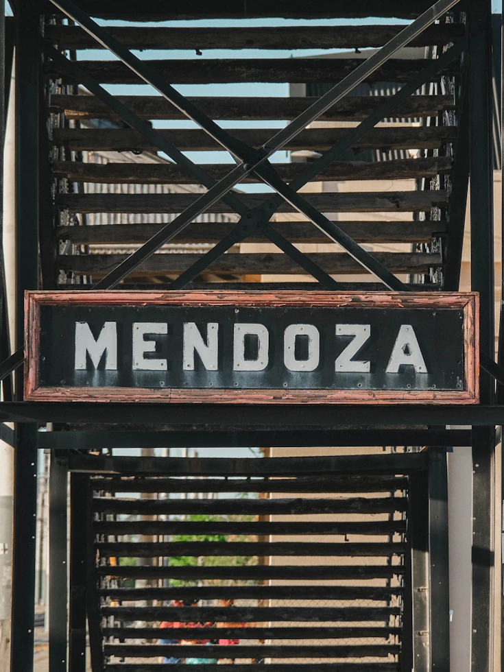 Mendoza Vineyards with Andes in background